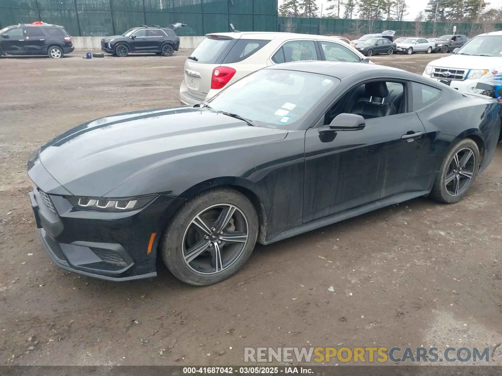 2 Фотография поврежденного автомобиля 1FA6P8TH0R5134826 FORD MUSTANG 2024
