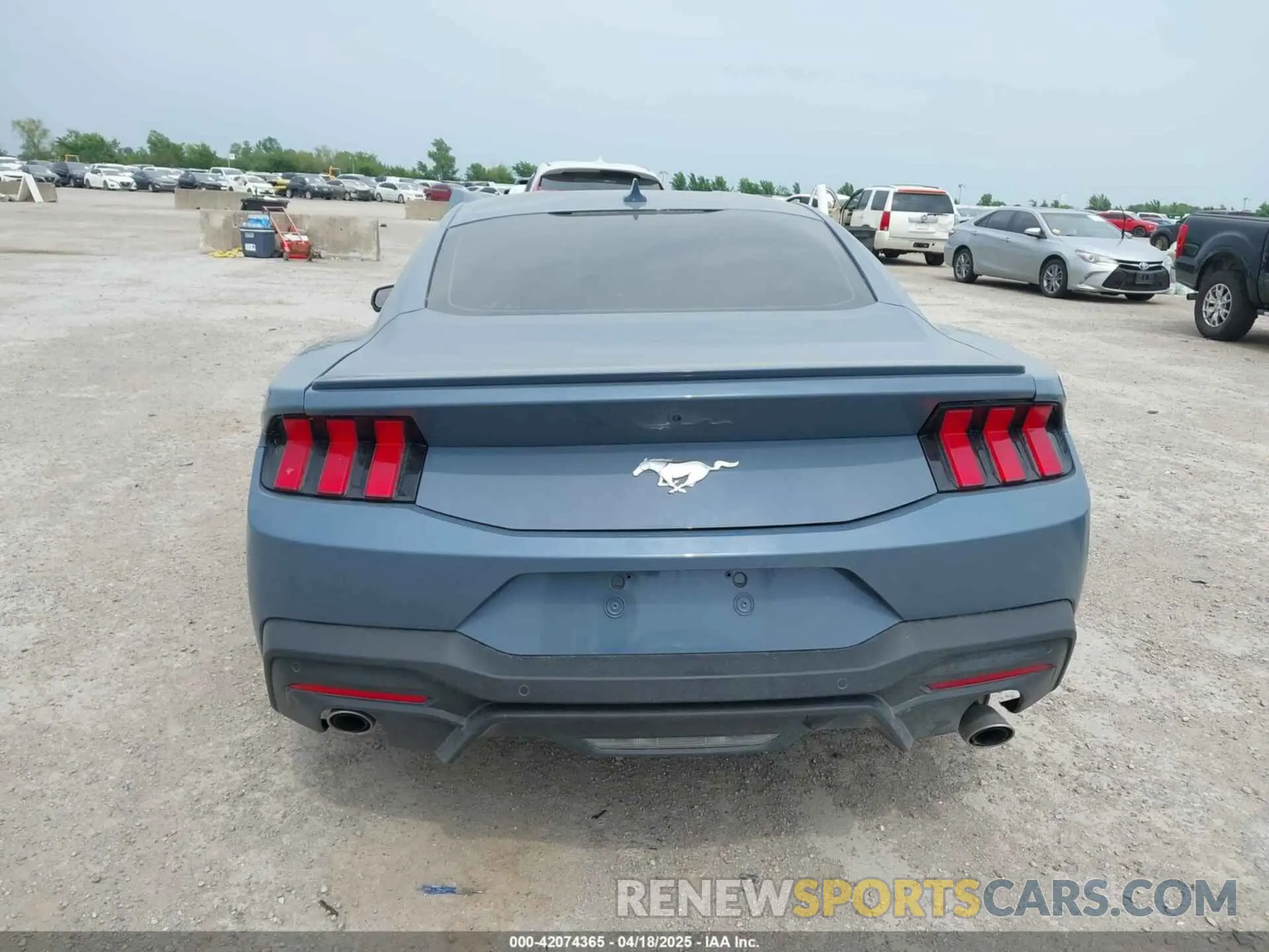 15 Фотография поврежденного автомобиля 1FA6P8TH0R5146426 FORD MUSTANG 2024