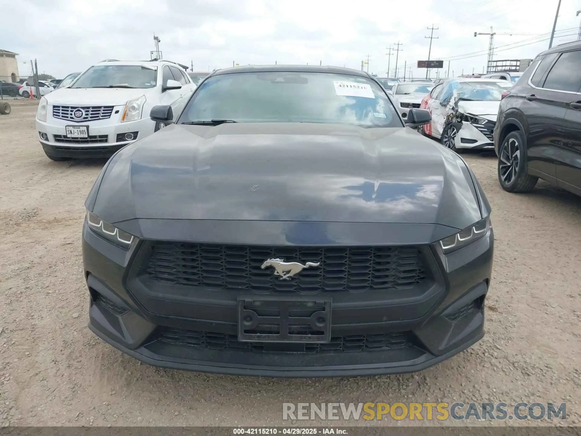 13 Photograph of a damaged car 1FA6P8TH1R5114195 FORD MUSTANG 2024