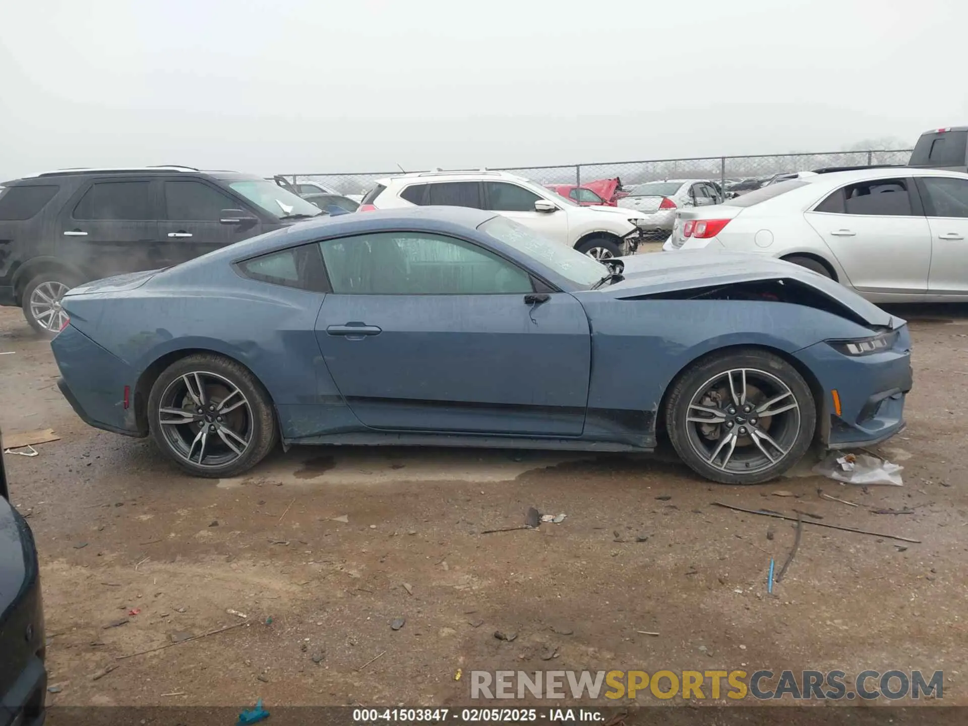 13 Photograph of a damaged car 1FA6P8TH2R5105358 FORD MUSTANG 2024