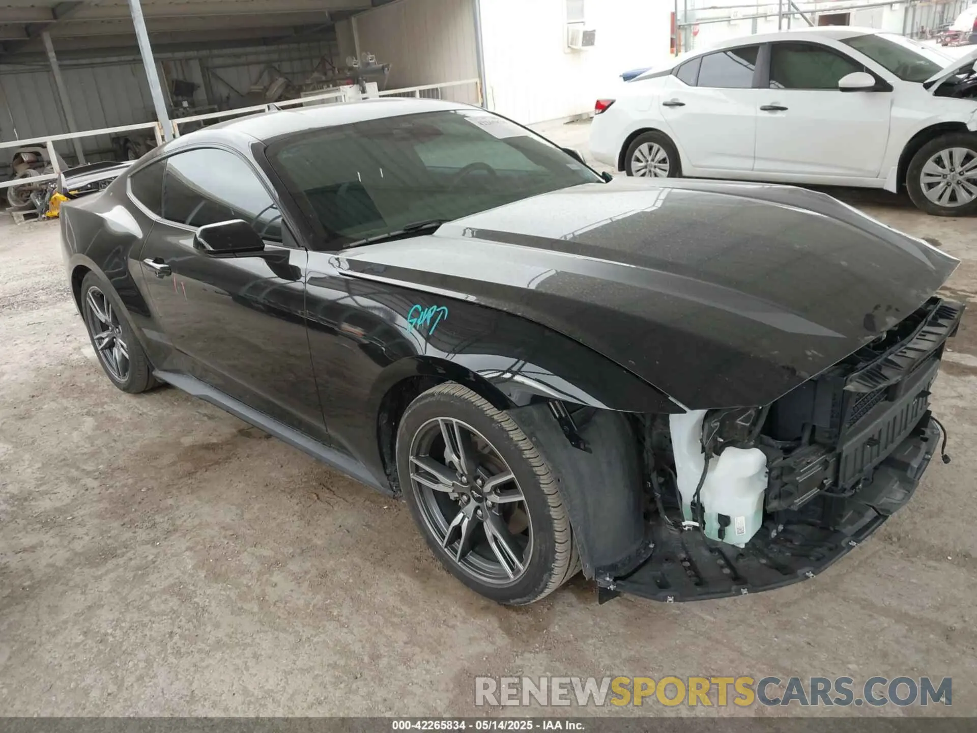 1 Фотография поврежденного автомобиля 1FA6P8TH2R5109961 FORD MUSTANG 2024