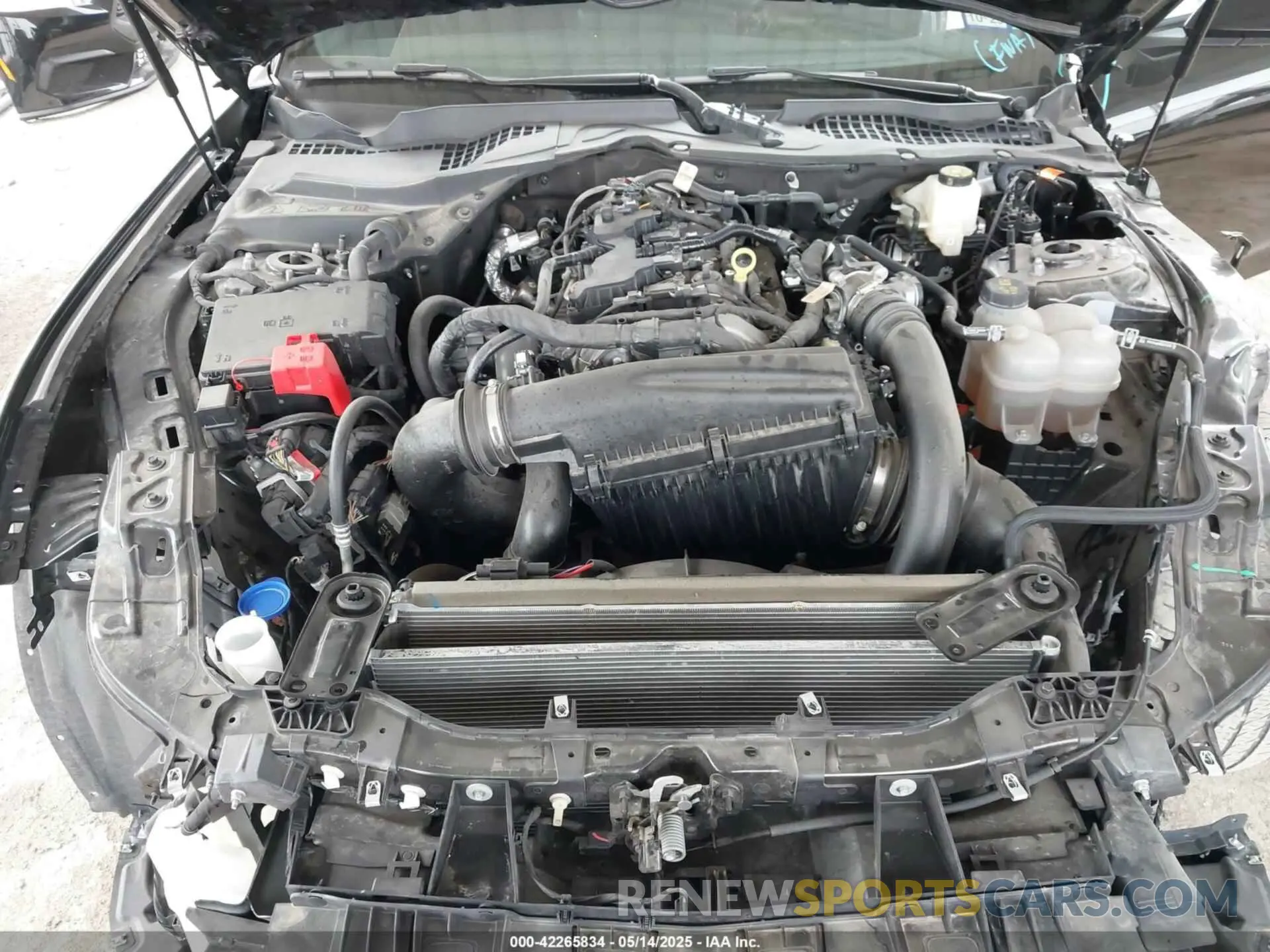 10 Фотография поврежденного автомобиля 1FA6P8TH2R5109961 FORD MUSTANG 2024