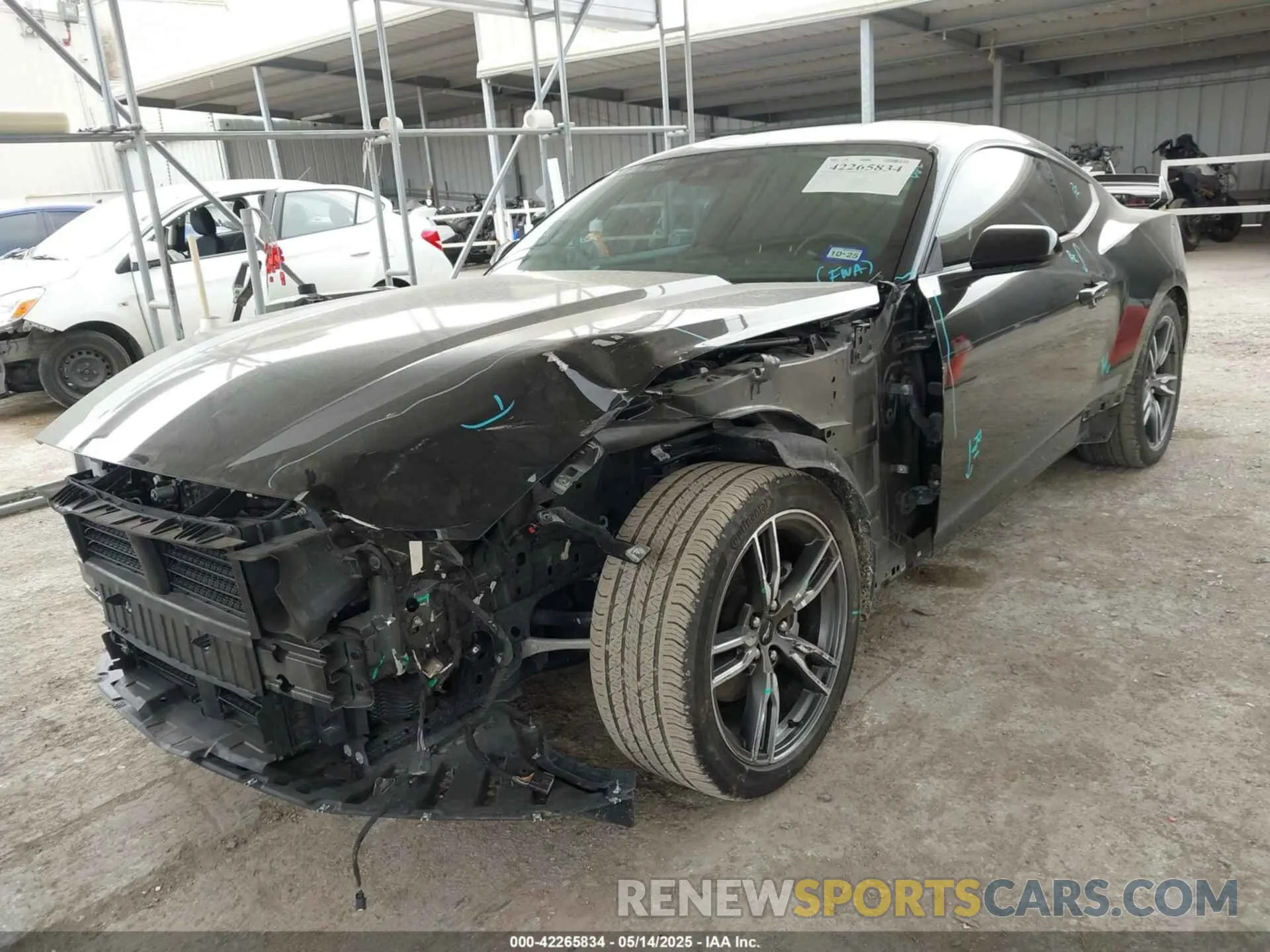 6 Фотография поврежденного автомобиля 1FA6P8TH2R5109961 FORD MUSTANG 2024