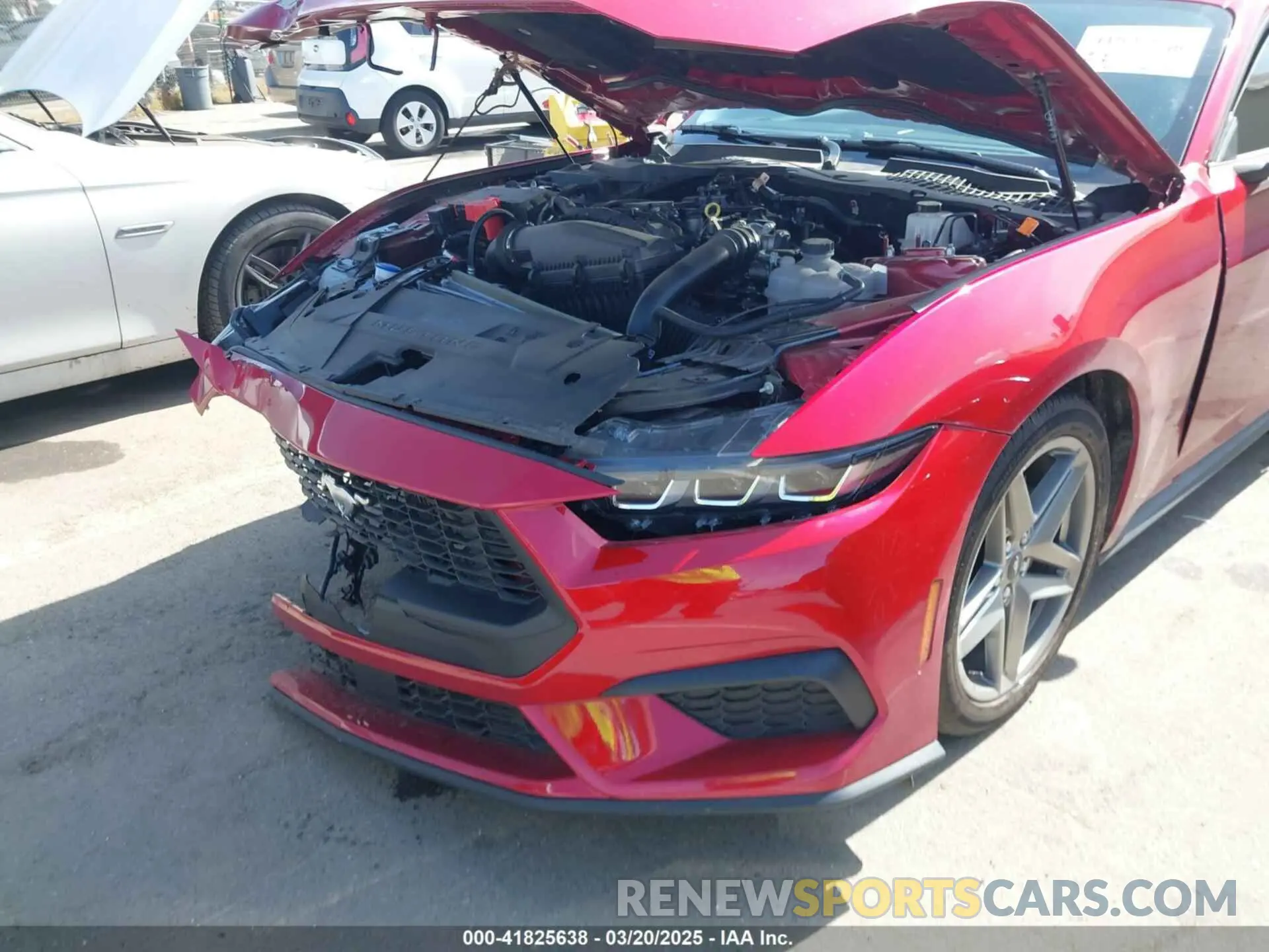 12 Photograph of a damaged car 1FA6P8TH2R5137890 FORD MUSTANG 2024