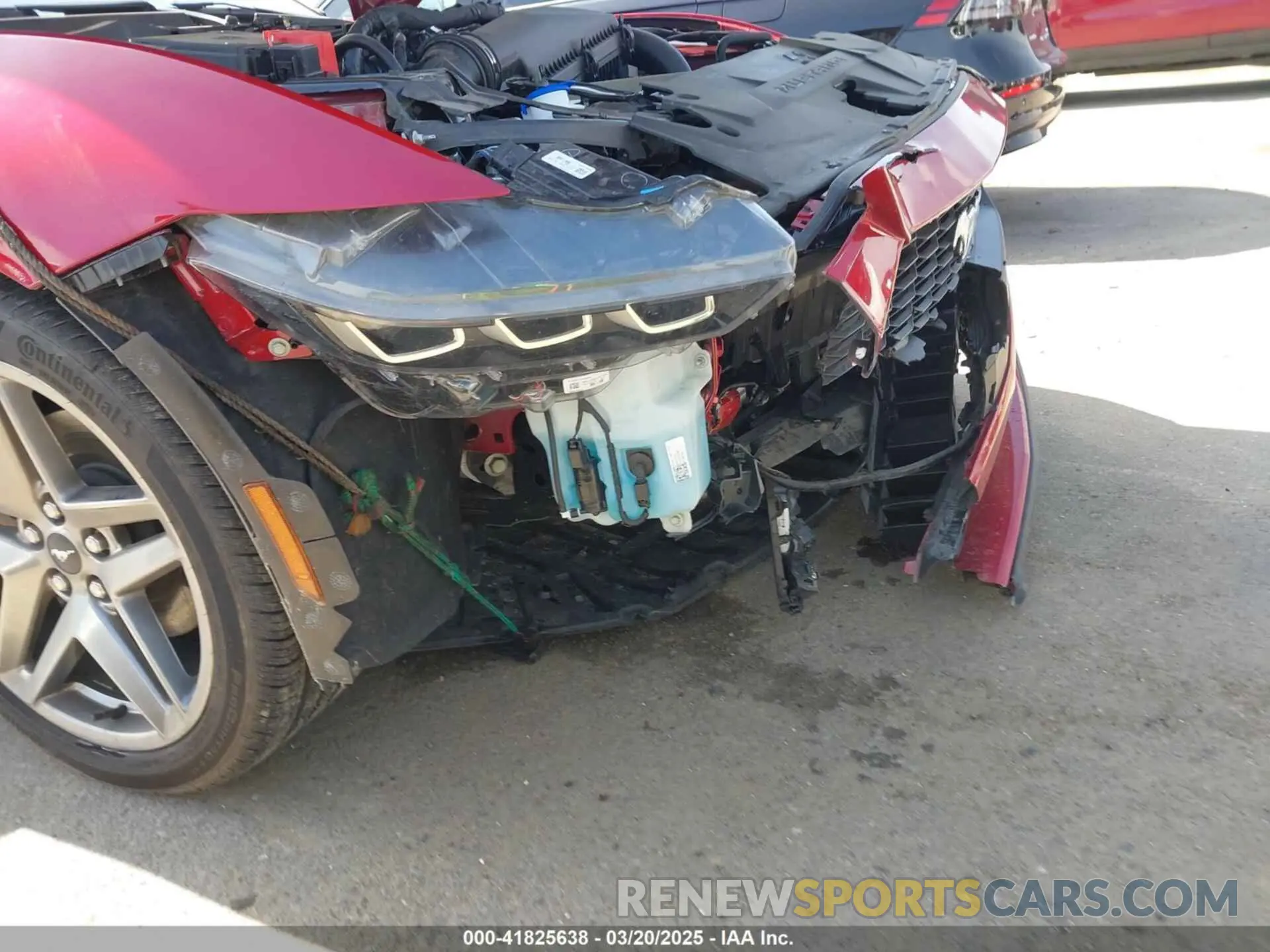 19 Photograph of a damaged car 1FA6P8TH2R5137890 FORD MUSTANG 2024