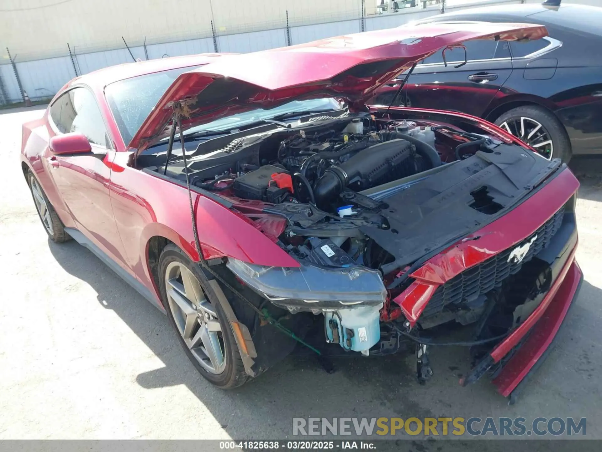 6 Photograph of a damaged car 1FA6P8TH2R5137890 FORD MUSTANG 2024