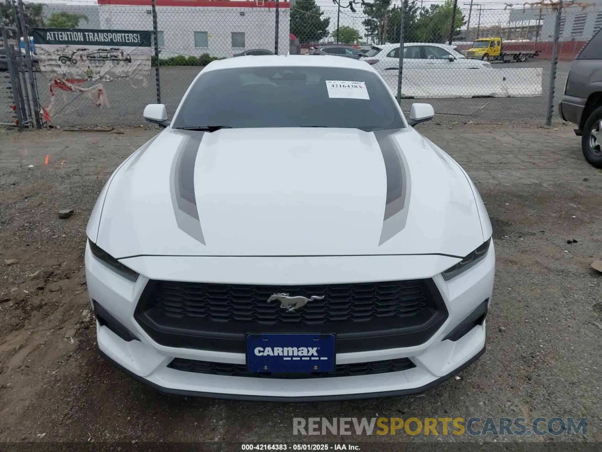 12 Photograph of a damaged car 1FA6P8TH3R5109662 FORD MUSTANG 2024