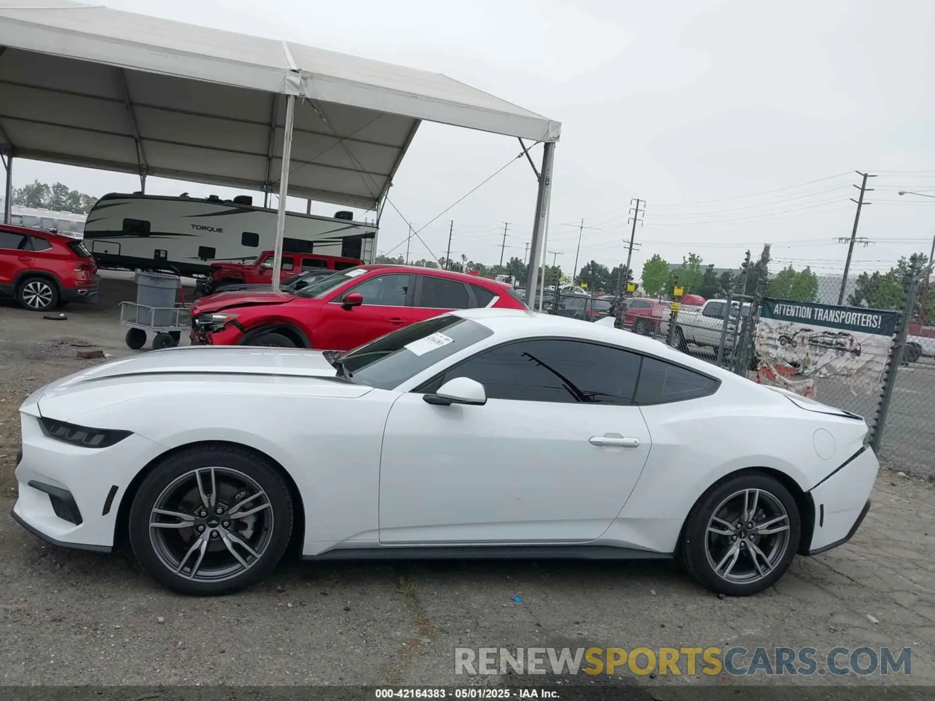 14 Photograph of a damaged car 1FA6P8TH3R5109662 FORD MUSTANG 2024