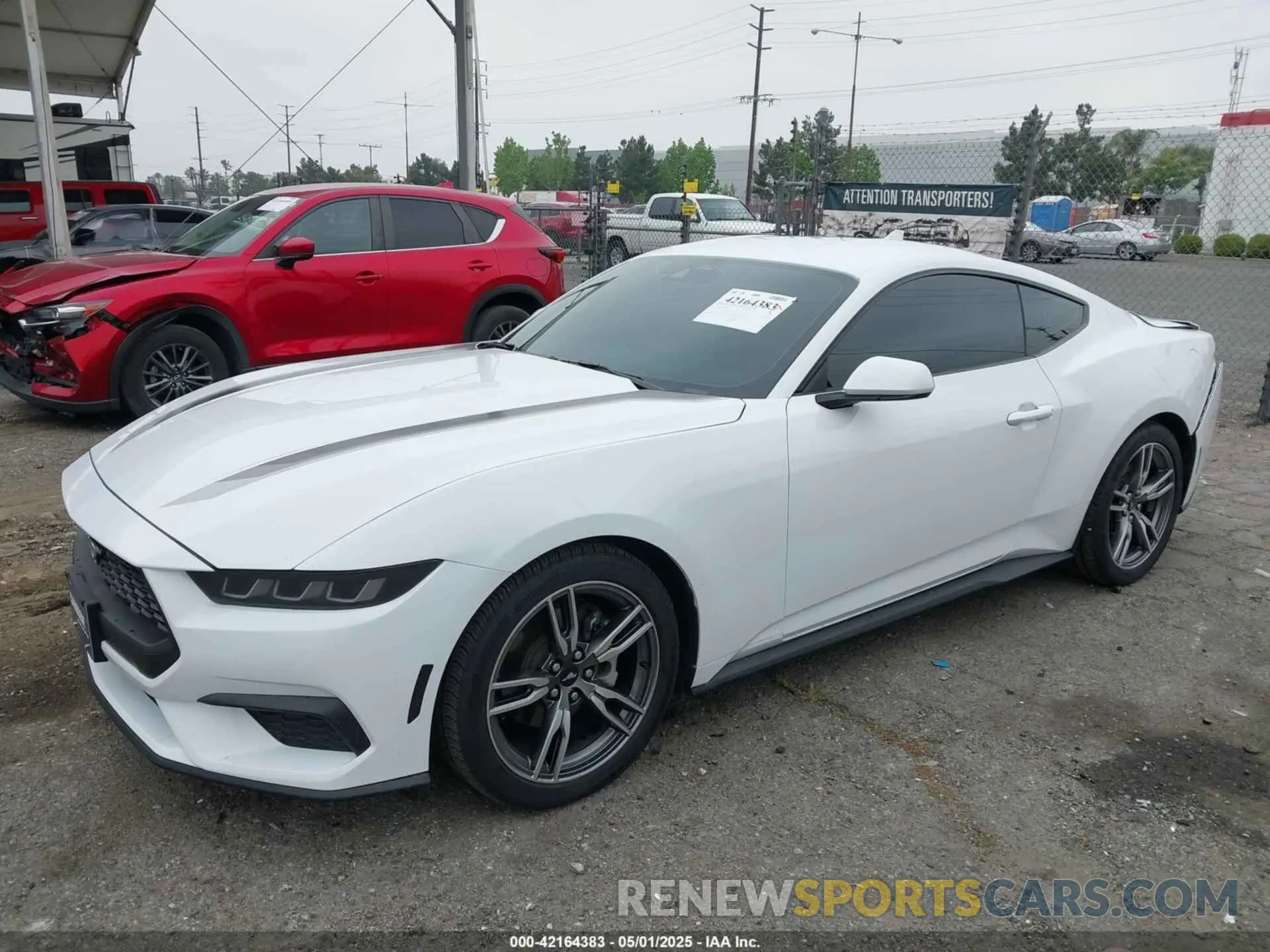 2 Photograph of a damaged car 1FA6P8TH3R5109662 FORD MUSTANG 2024