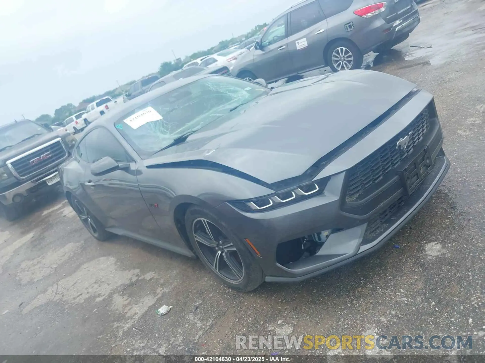 1 Photograph of a damaged car 1FA6P8TH3R5111105 FORD MUSTANG 2024