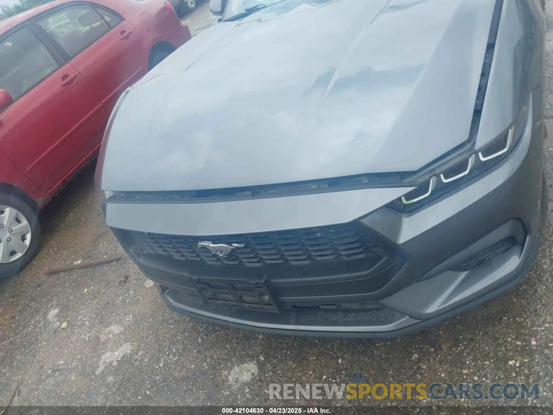 11 Photograph of a damaged car 1FA6P8TH3R5111105 FORD MUSTANG 2024