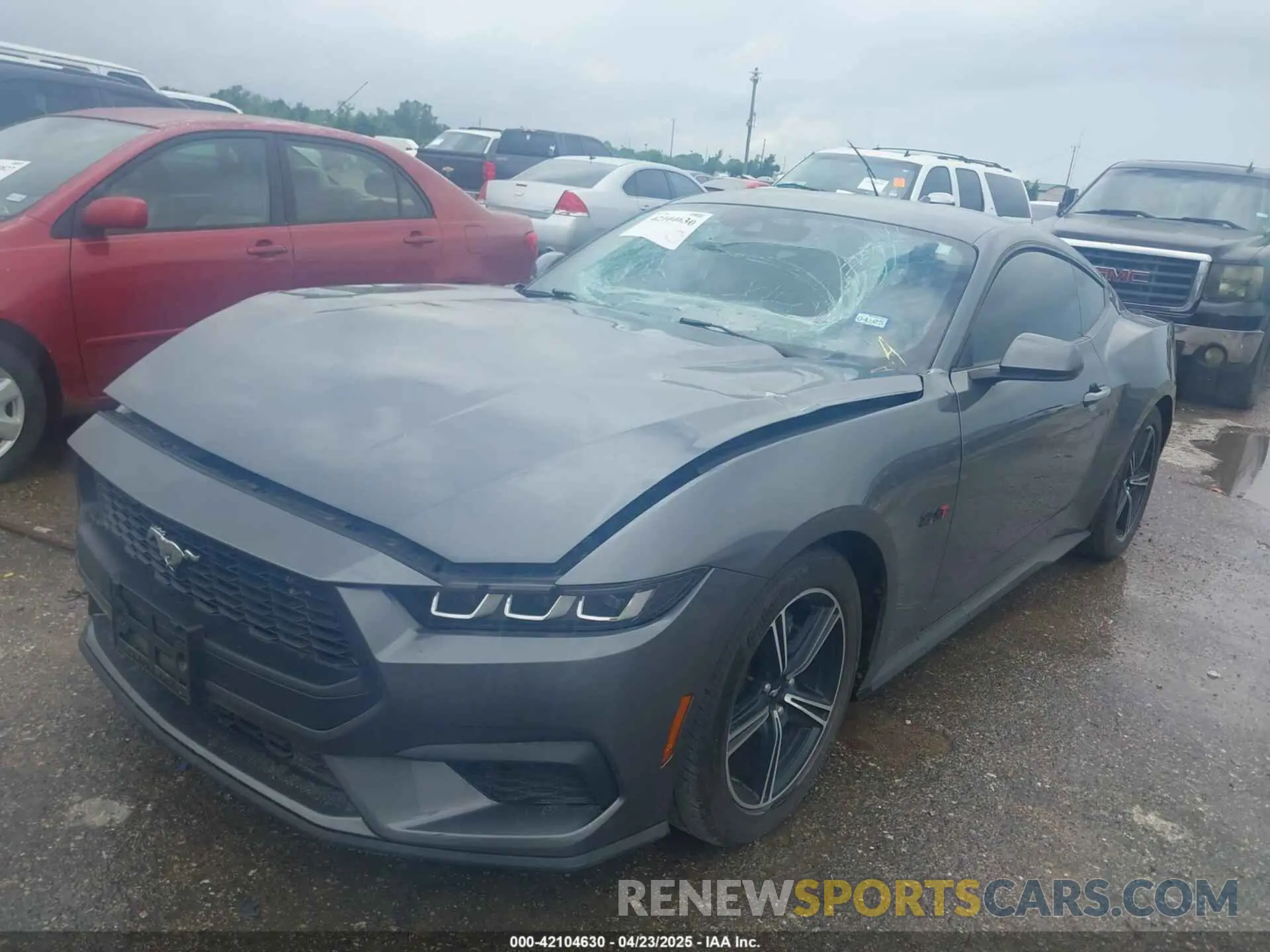 2 Photograph of a damaged car 1FA6P8TH3R5111105 FORD MUSTANG 2024