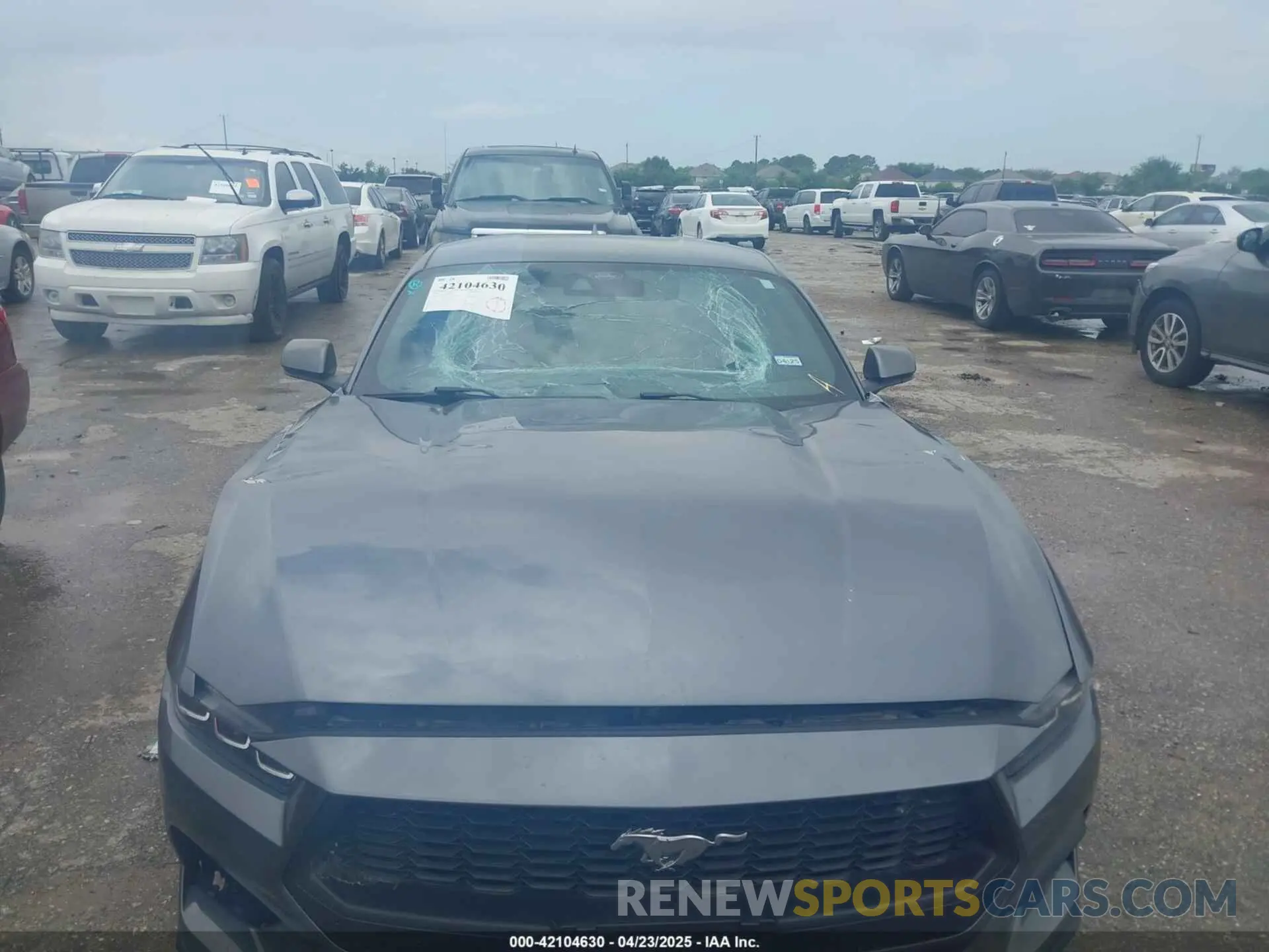 6 Photograph of a damaged car 1FA6P8TH3R5111105 FORD MUSTANG 2024