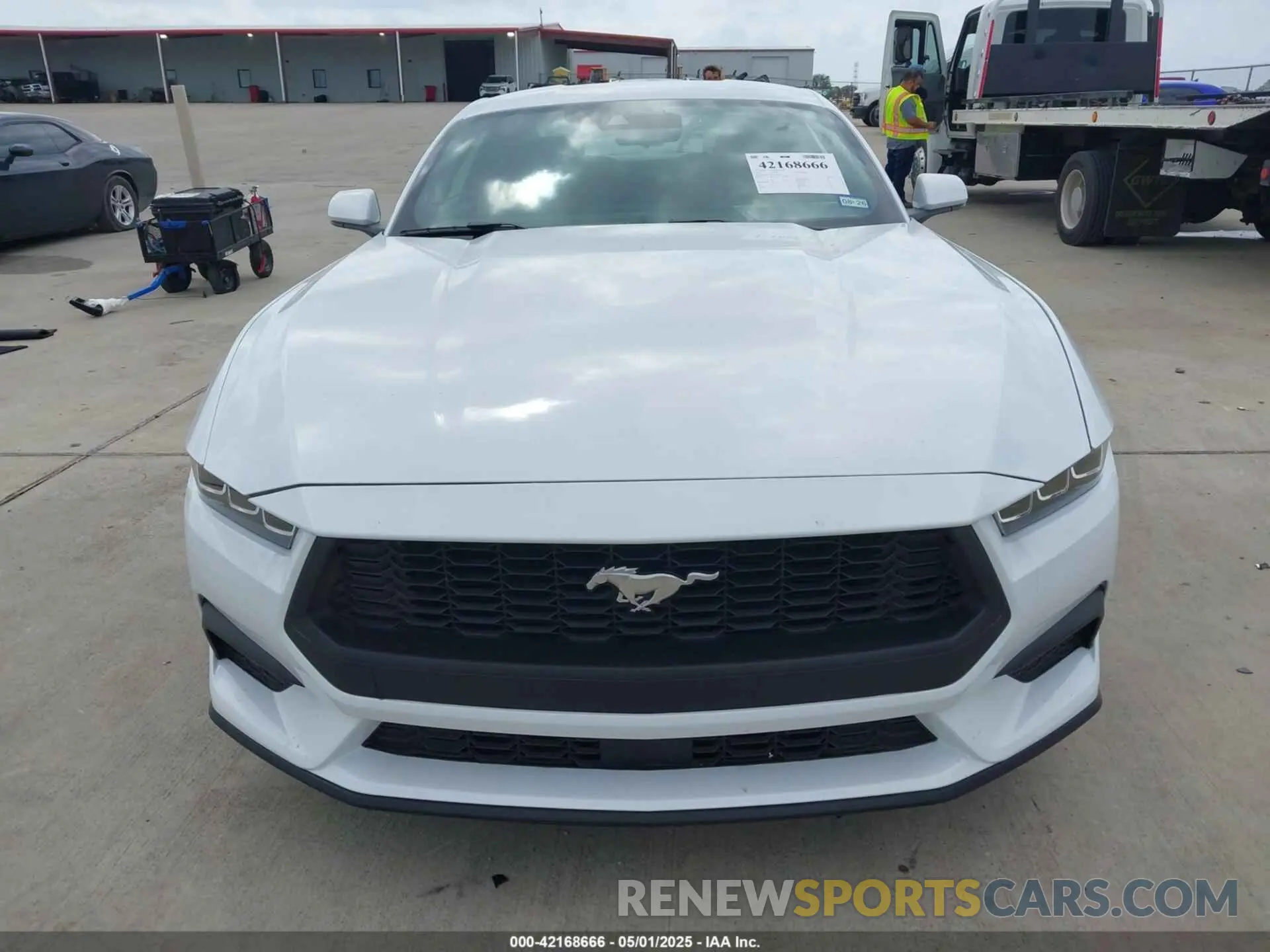 12 Фотография поврежденного автомобиля 1FA6P8TH3R5139955 FORD MUSTANG 2024