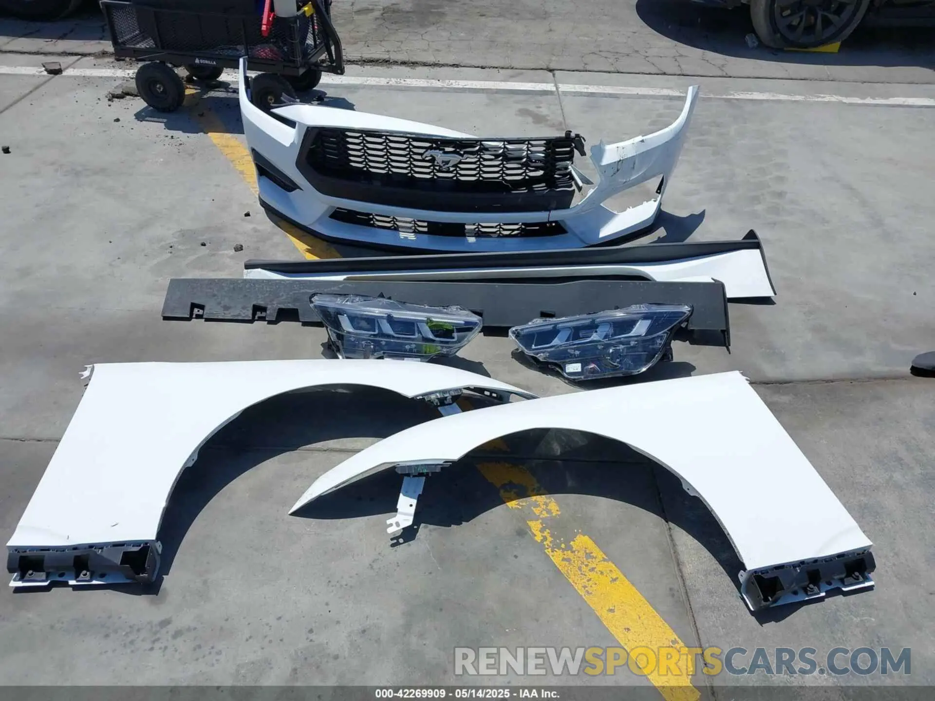 12 Photograph of a damaged car 1FA6P8TH4R5146090 FORD MUSTANG 2024