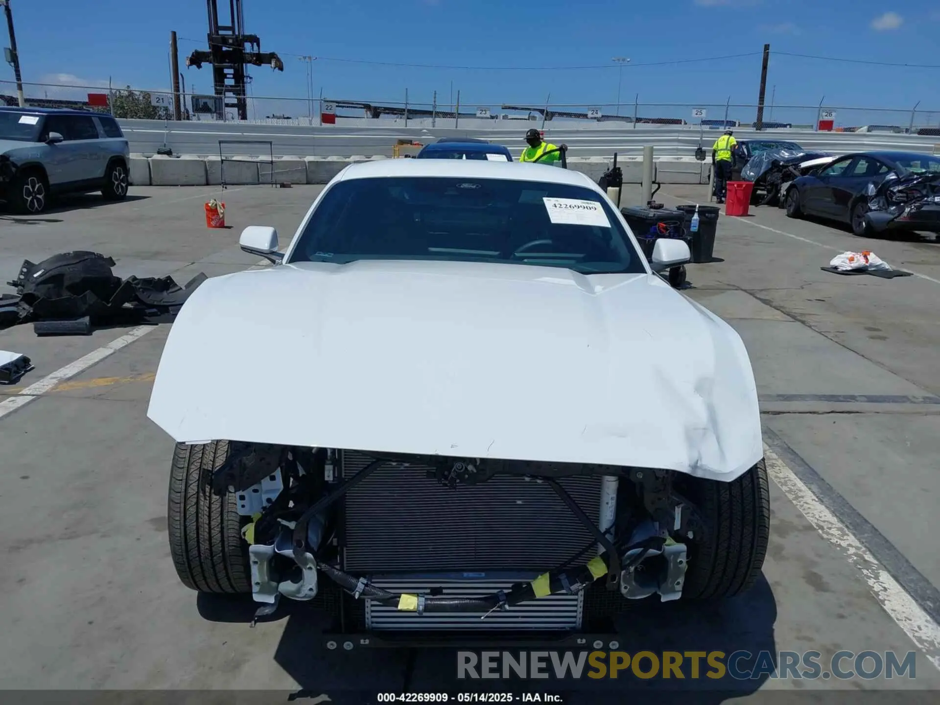 13 Photograph of a damaged car 1FA6P8TH4R5146090 FORD MUSTANG 2024