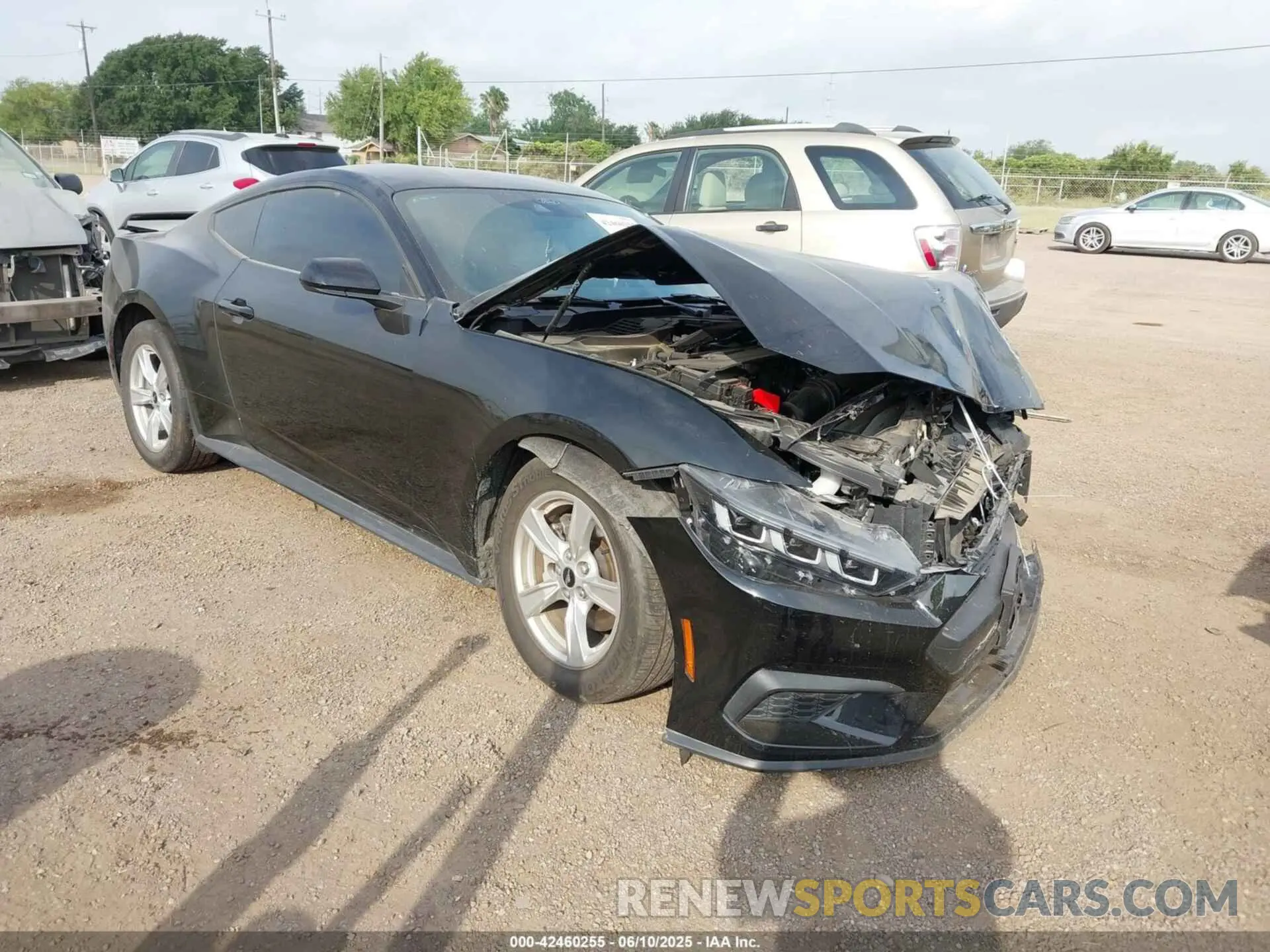 1 Photograph of a damaged car 1FA6P8TH6R5109204 FORD MUSTANG 2024
