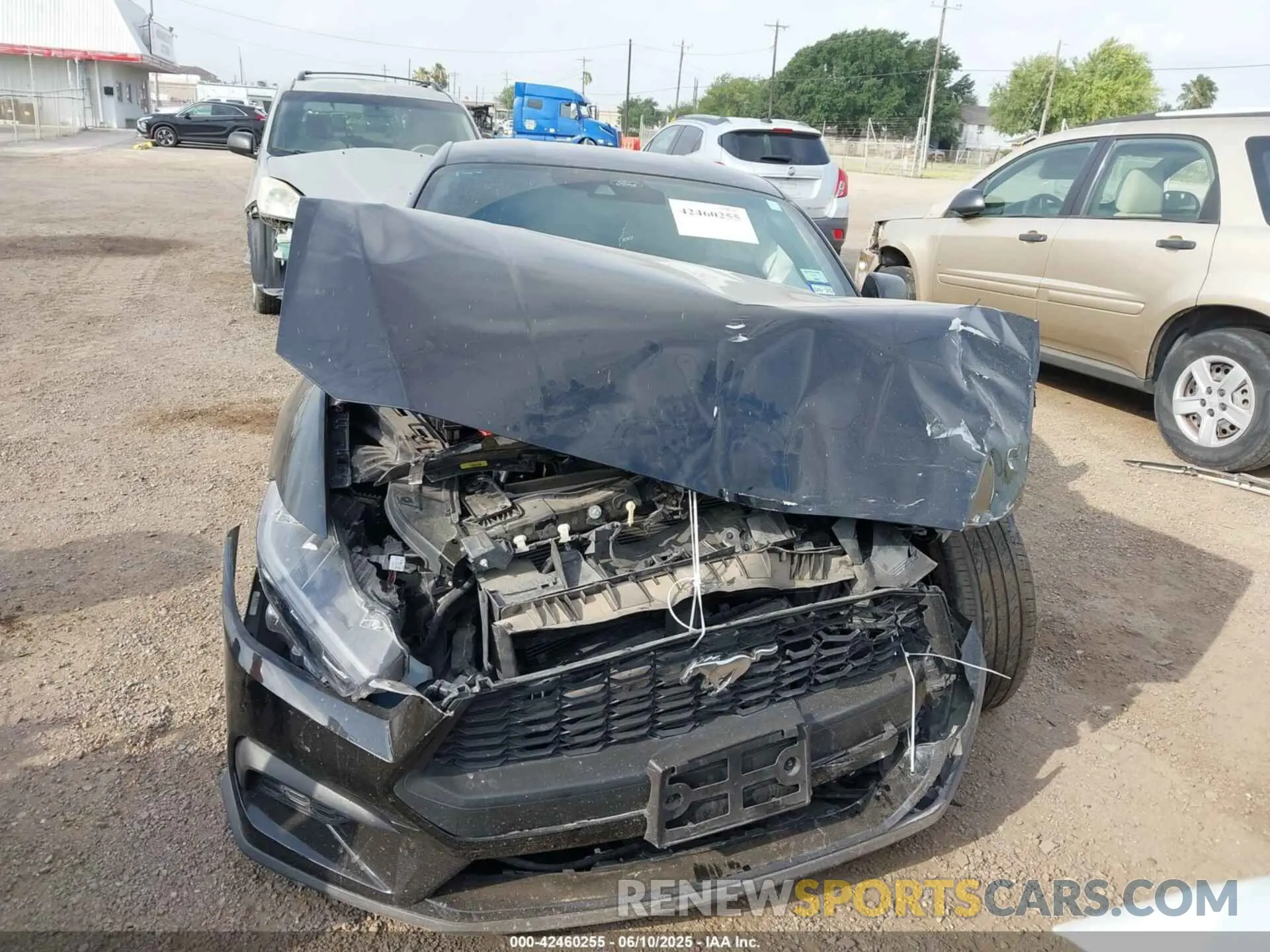 12 Photograph of a damaged car 1FA6P8TH6R5109204 FORD MUSTANG 2024