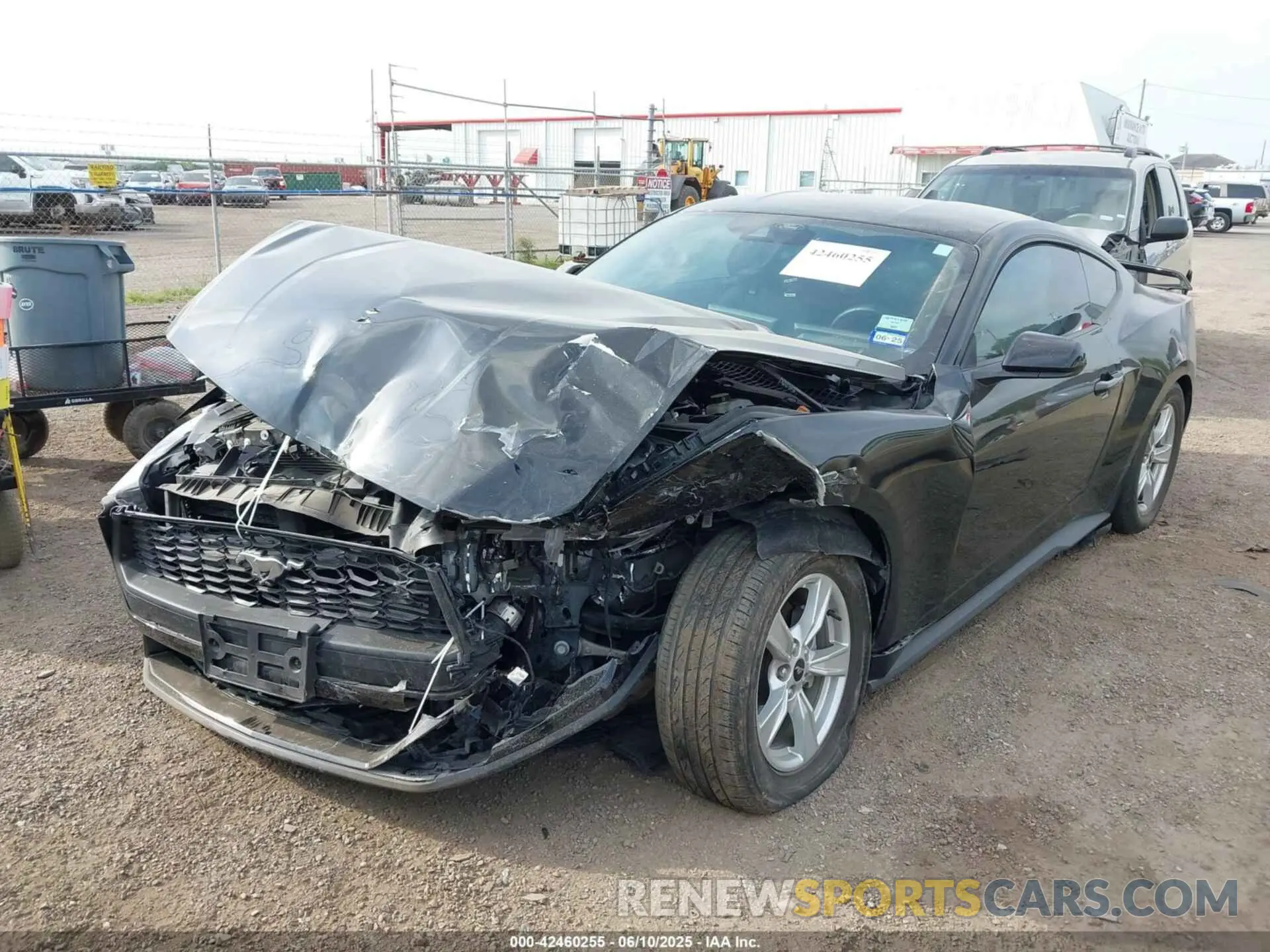 6 Photograph of a damaged car 1FA6P8TH6R5109204 FORD MUSTANG 2024