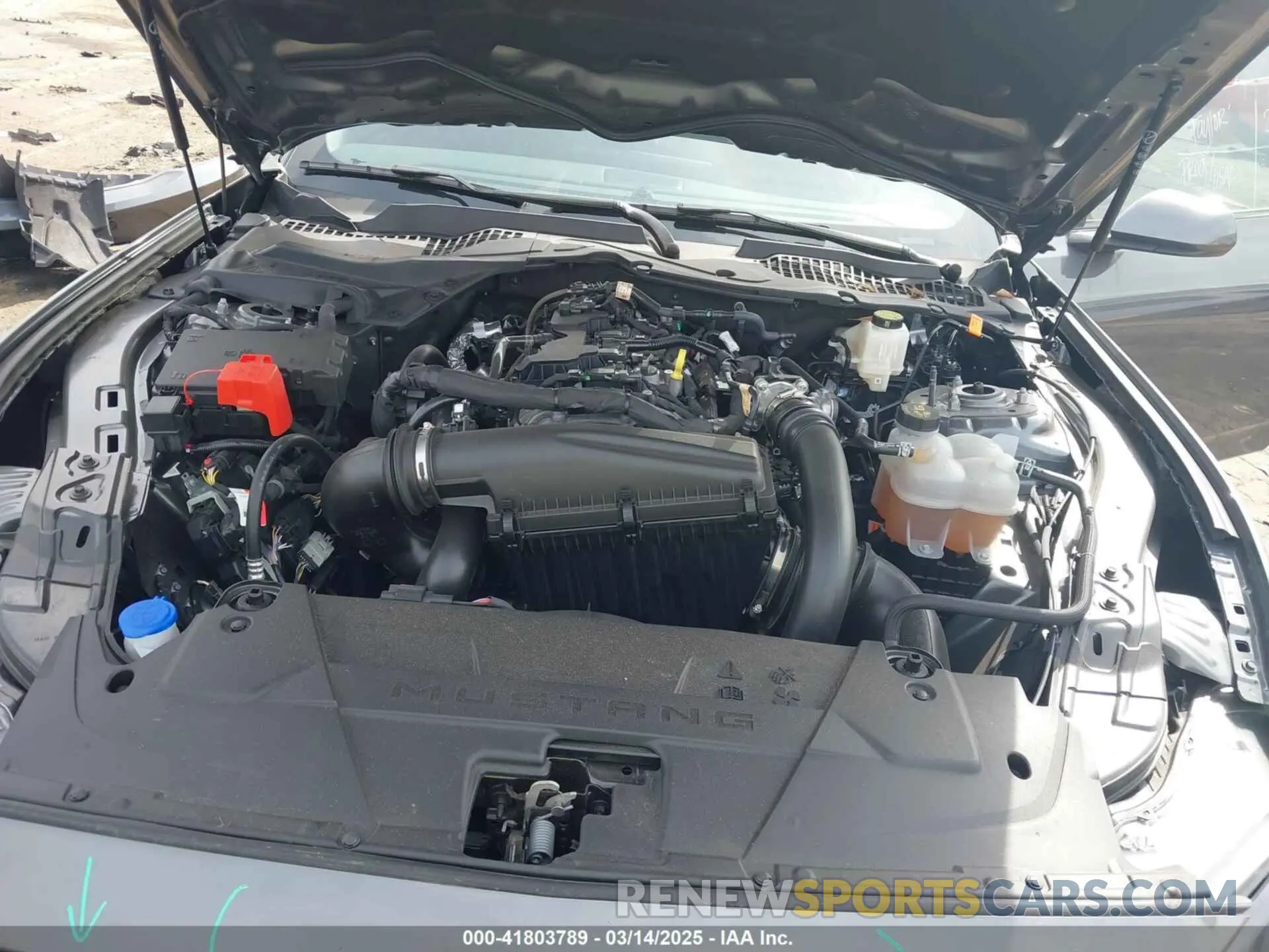 10 Фотография поврежденного автомобиля 1FA6P8TH6R5133406 FORD MUSTANG 2024