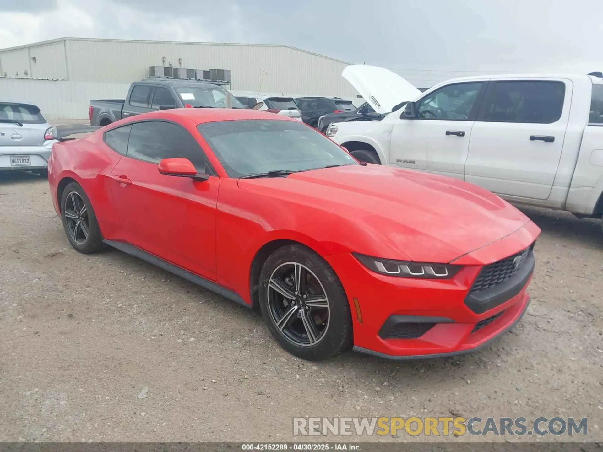 1 Фотография поврежденного автомобиля 1FA6P8TH7R5106652 FORD MUSTANG 2024