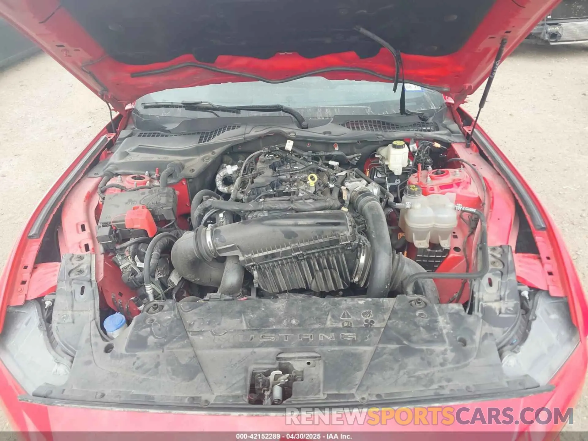 10 Фотография поврежденного автомобиля 1FA6P8TH7R5106652 FORD MUSTANG 2024