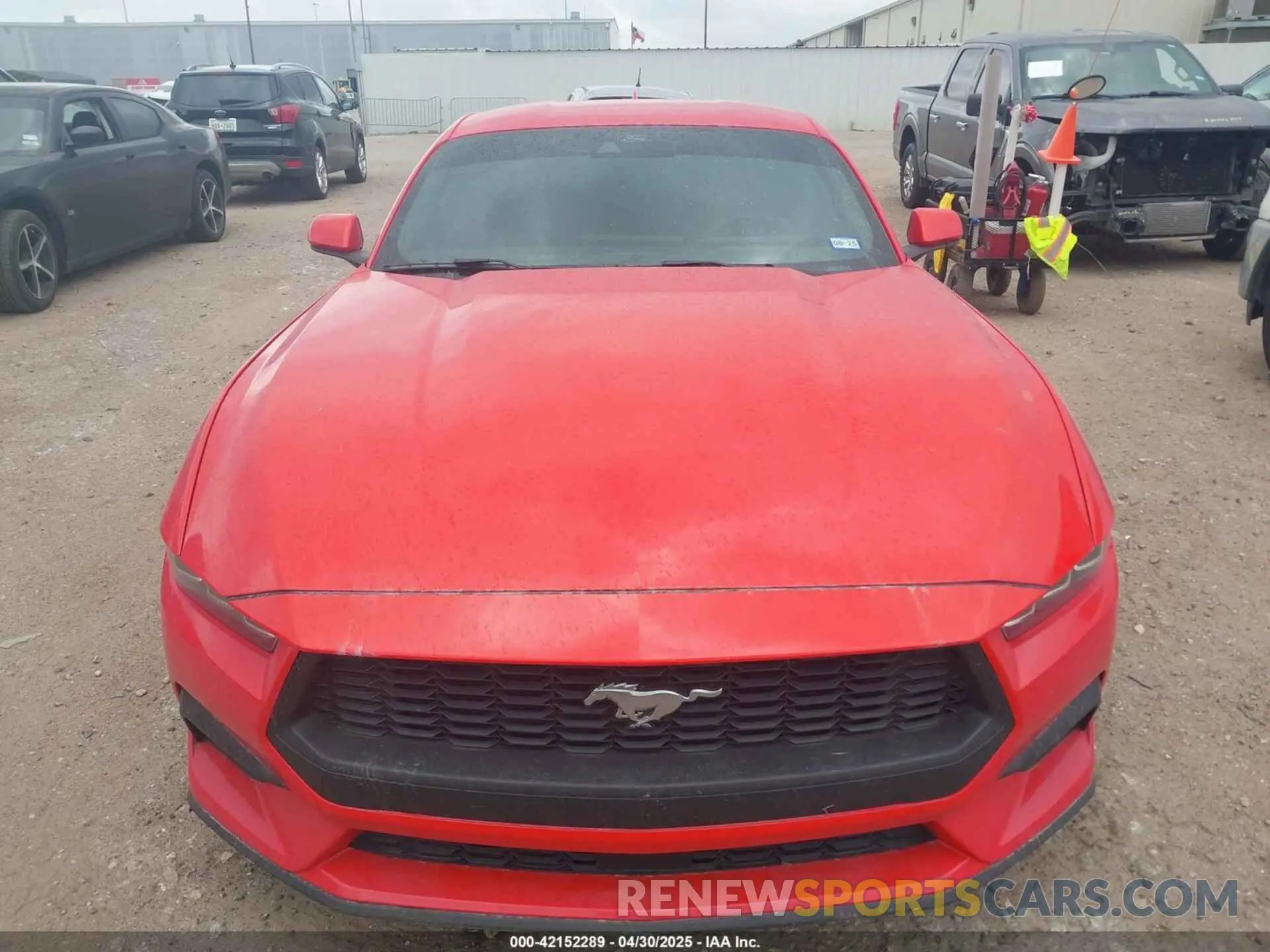 12 Фотография поврежденного автомобиля 1FA6P8TH7R5106652 FORD MUSTANG 2024