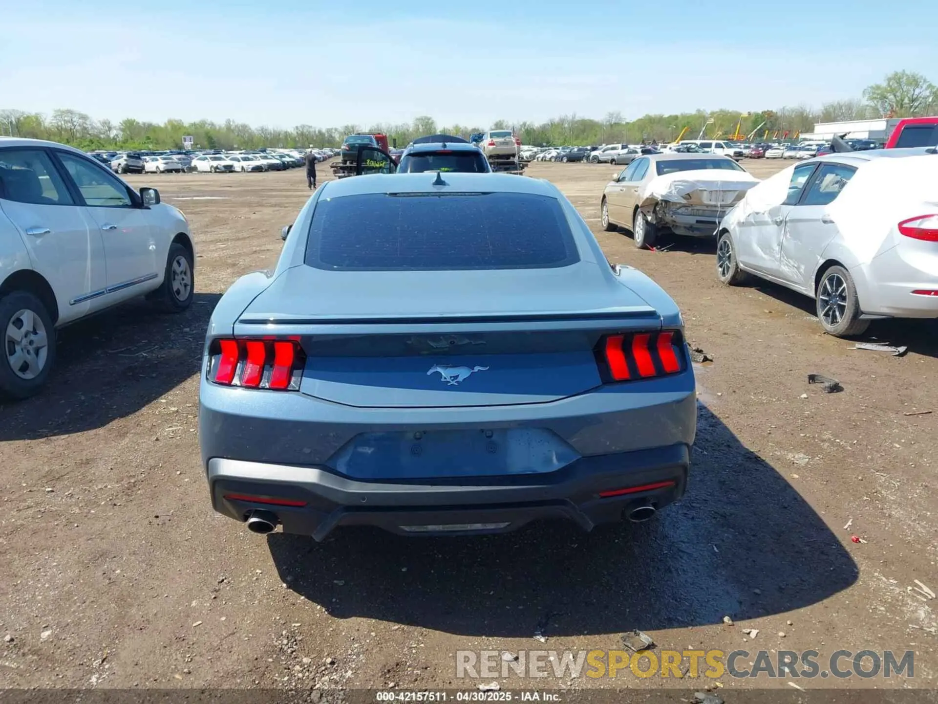 17 Photograph of a damaged car 1FA6P8TH8R5140468 FORD MUSTANG 2024