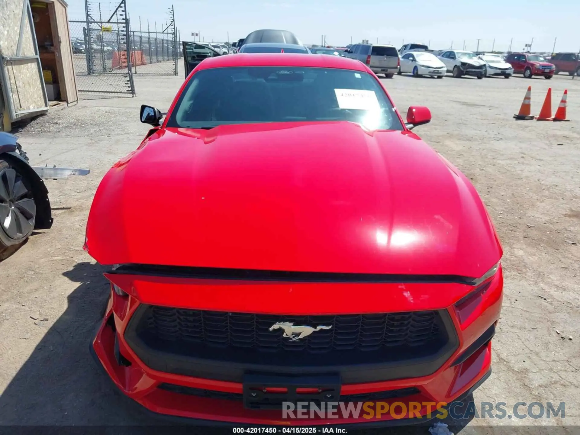 12 Photograph of a damaged car 1FA6P8TH8R5146979 FORD MUSTANG 2024