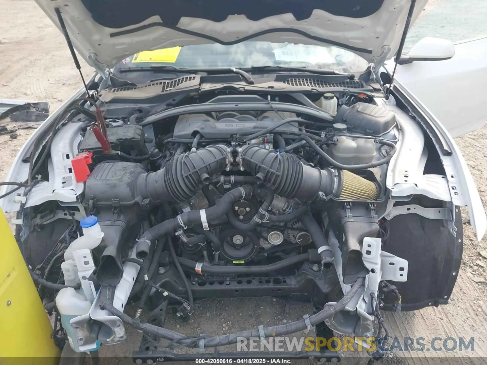 10 Фотография поврежденного автомобиля 1FAGP8FF1R5114180 FORD MUSTANG 2024