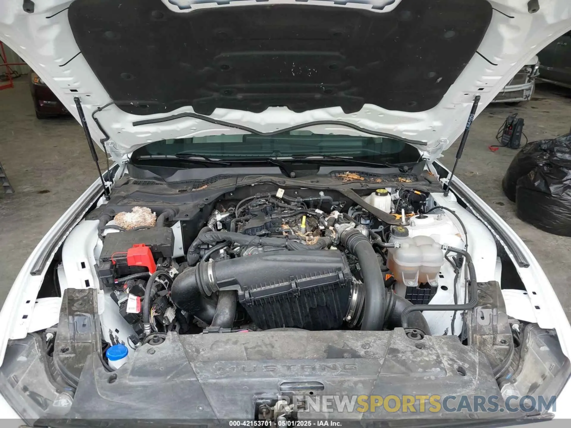 10 Фотография поврежденного автомобиля 1FAGP8UH5R5129527 FORD MUSTANG 2024