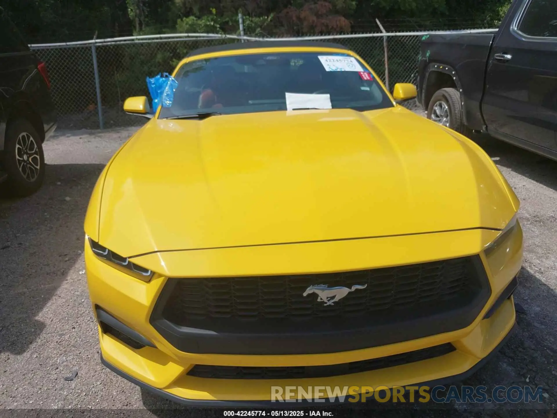 12 Фотография поврежденного автомобиля 1FAGP8UH6R5131240 FORD MUSTANG 2024