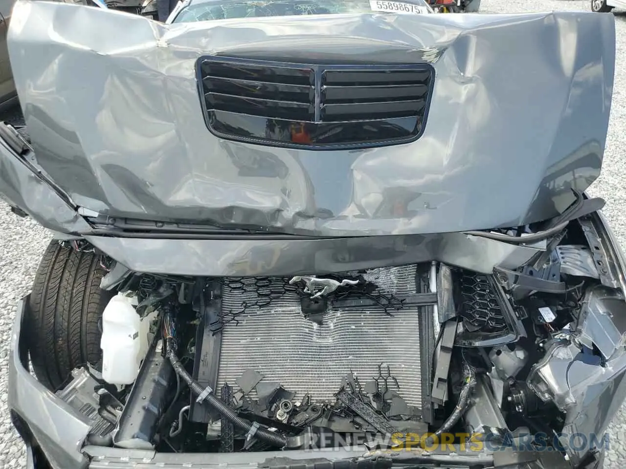 11 Photograph of a damaged car 1FA6P8CF0S5408305 FORD MUSTANG 2025