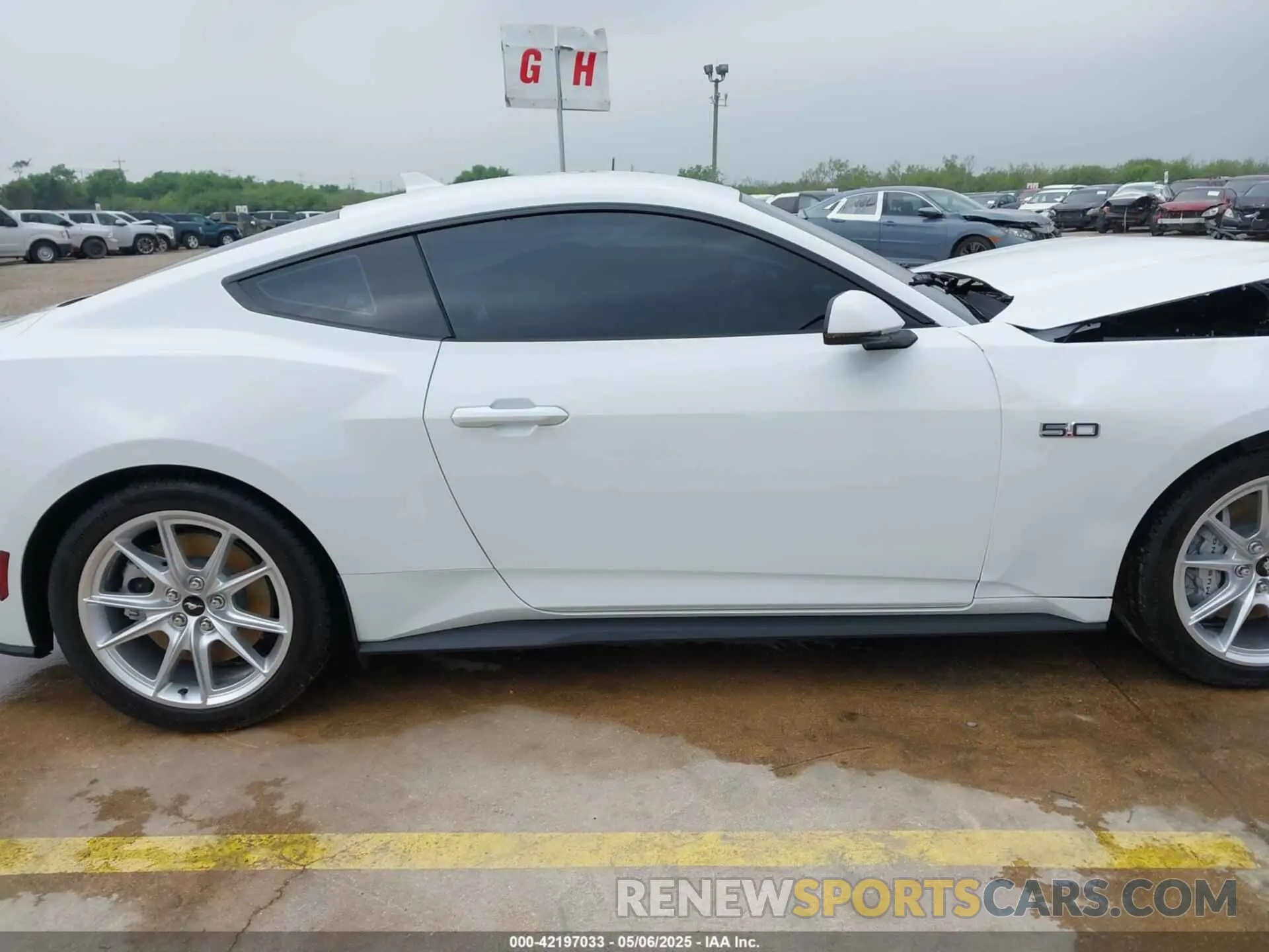 12 Photograph of a damaged car 1FA6P8CF7S5404588 FORD MUSTANG 2025