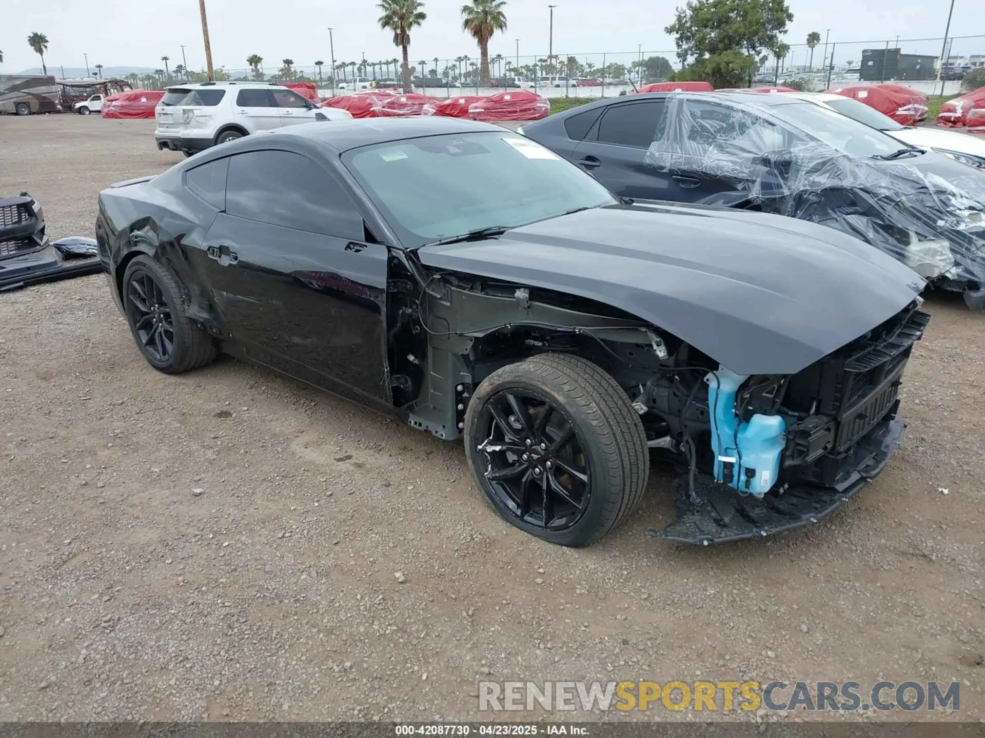 1 Photograph of a damaged car 1FA6P8TH5S5110267 FORD MUSTANG 2025