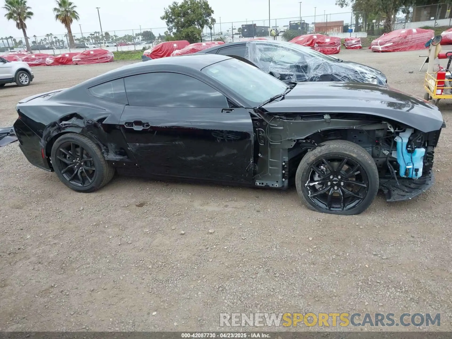 6 Photograph of a damaged car 1FA6P8TH5S5110267 FORD MUSTANG 2025