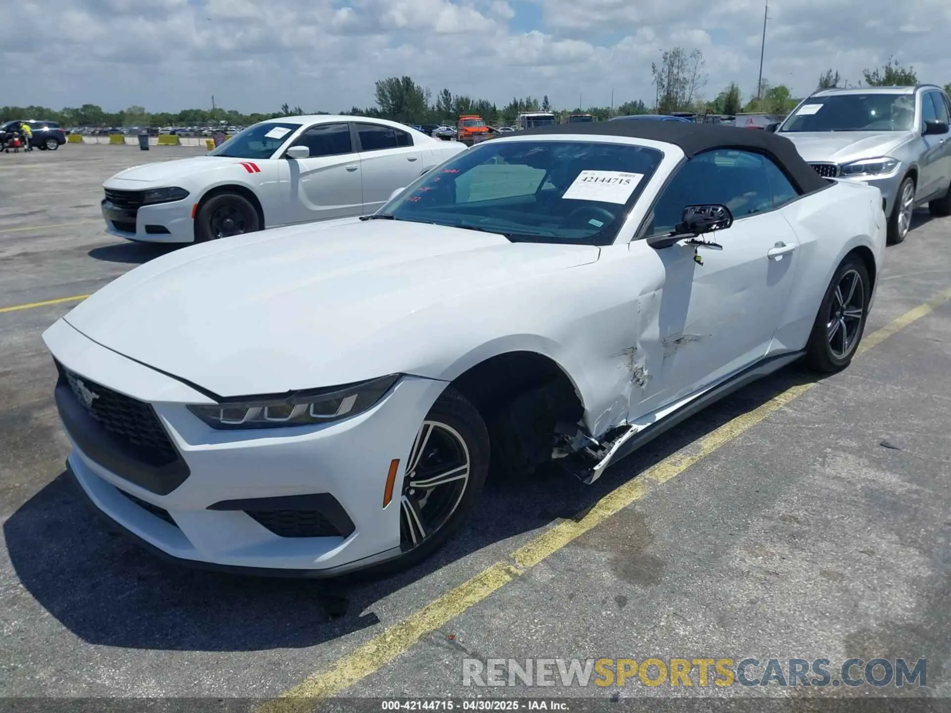 2 Photograph of a damaged car 1FAGP8UH4S5105984 FORD MUSTANG 2025