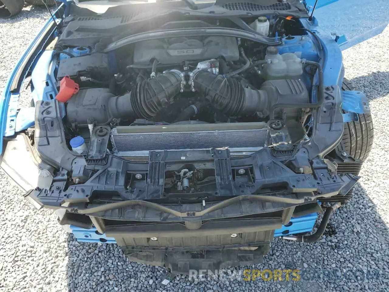 11 Photograph of a damaged car 1FA6P8R00R5503685 FORD MUSTANG DA 2024