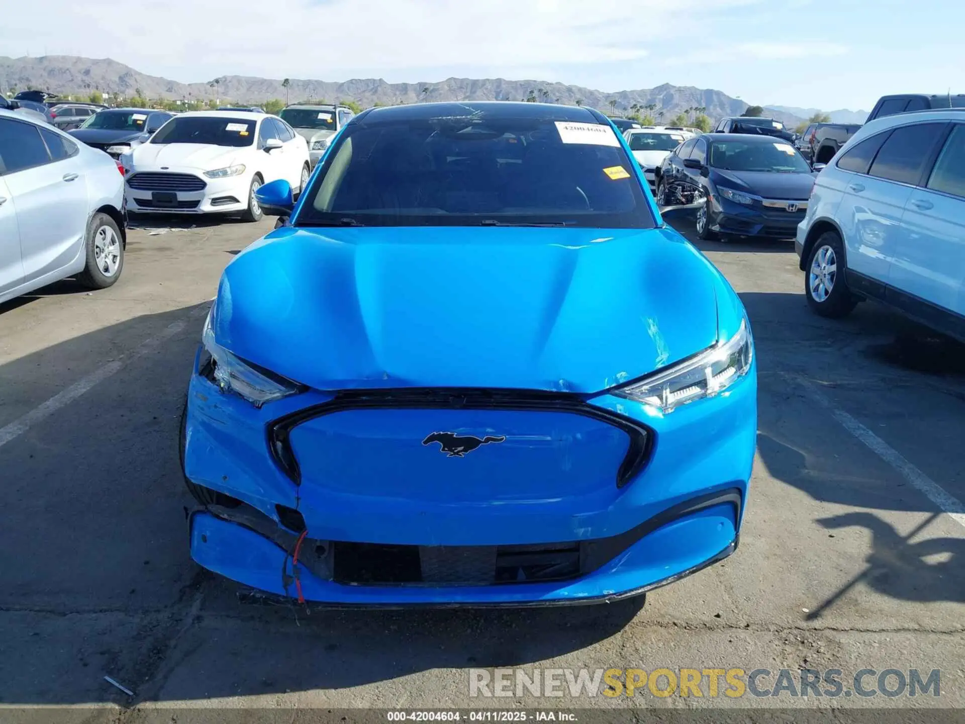 13 Photograph of a damaged car 3FMTK3SU3MMA08066 FORD MUSTANG MACH-E 2021