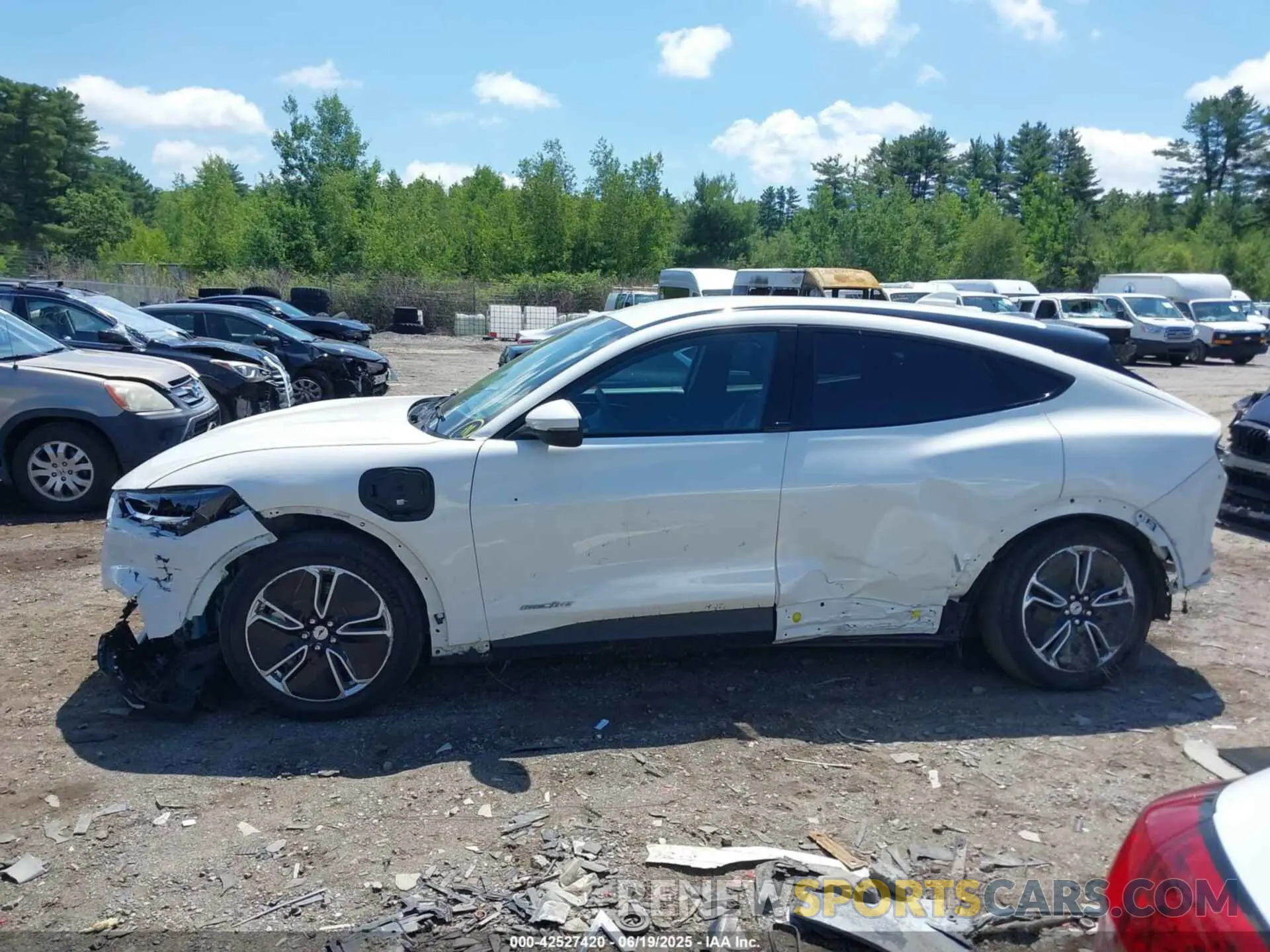 14 Фотография поврежденного автомобиля 3FMTK1RM1NMA28893 FORD MUSTANG MACH-E 2022