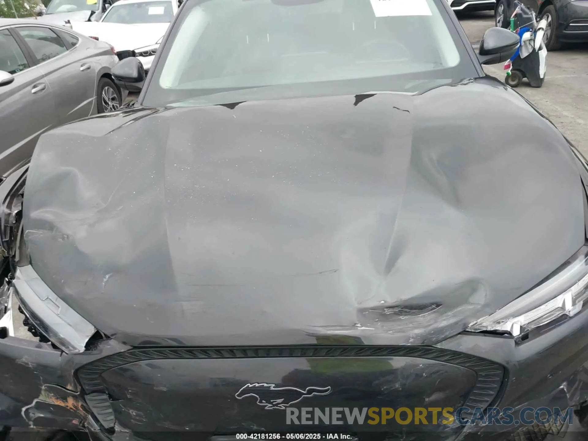 10 Photograph of a damaged car 3FMTK1RM3NMA25588 FORD MUSTANG MACH-E 2022