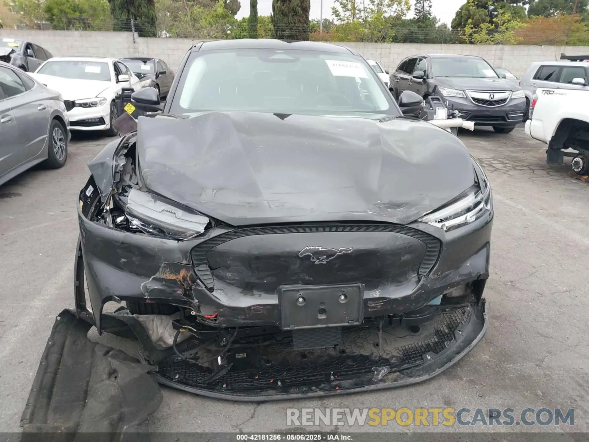 12 Photograph of a damaged car 3FMTK1RM3NMA25588 FORD MUSTANG MACH-E 2022
