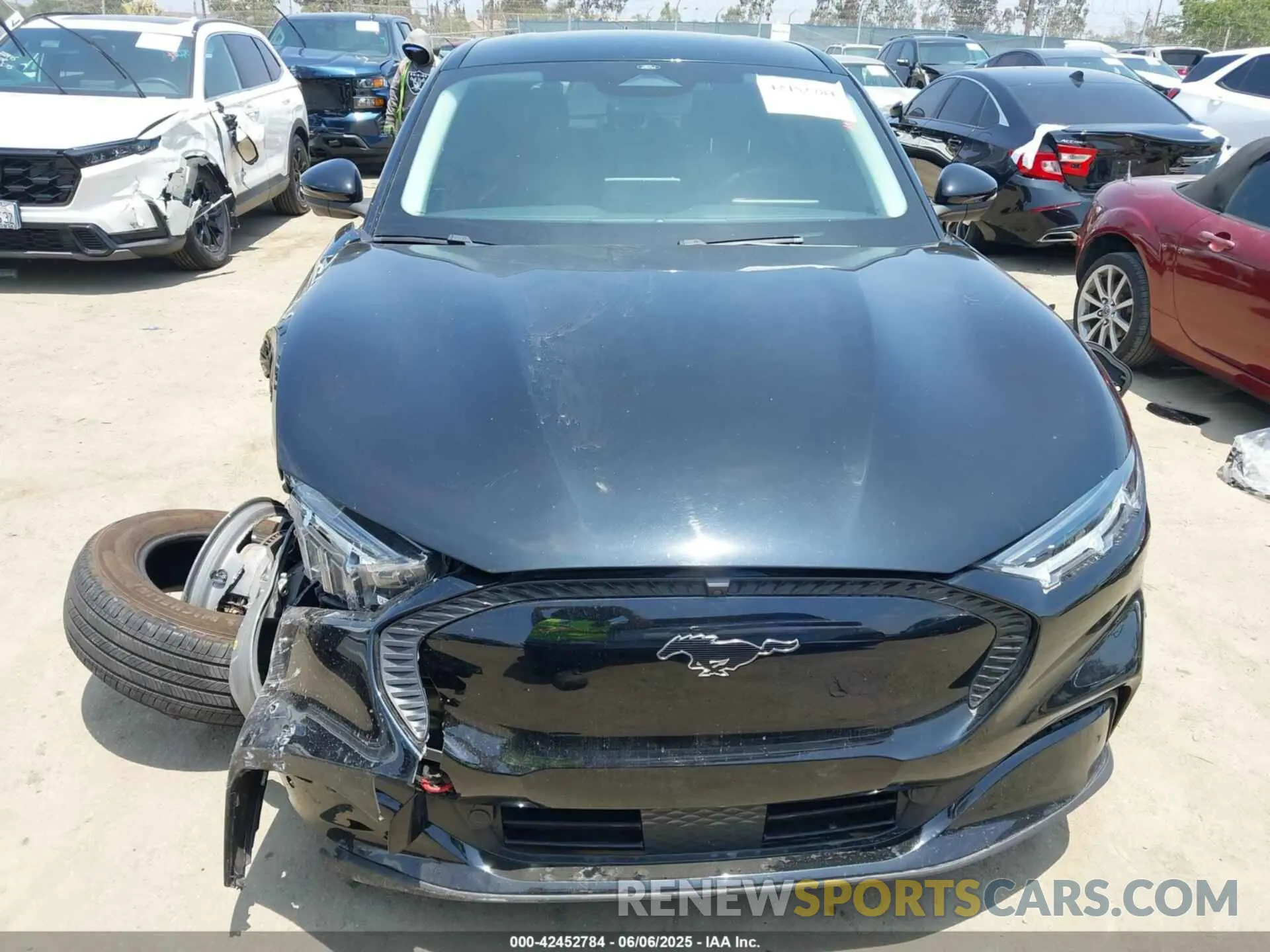 12 Фотография поврежденного автомобиля 3FMTK1RM5PMA46204 FORD MUSTANG MACH-E 2023