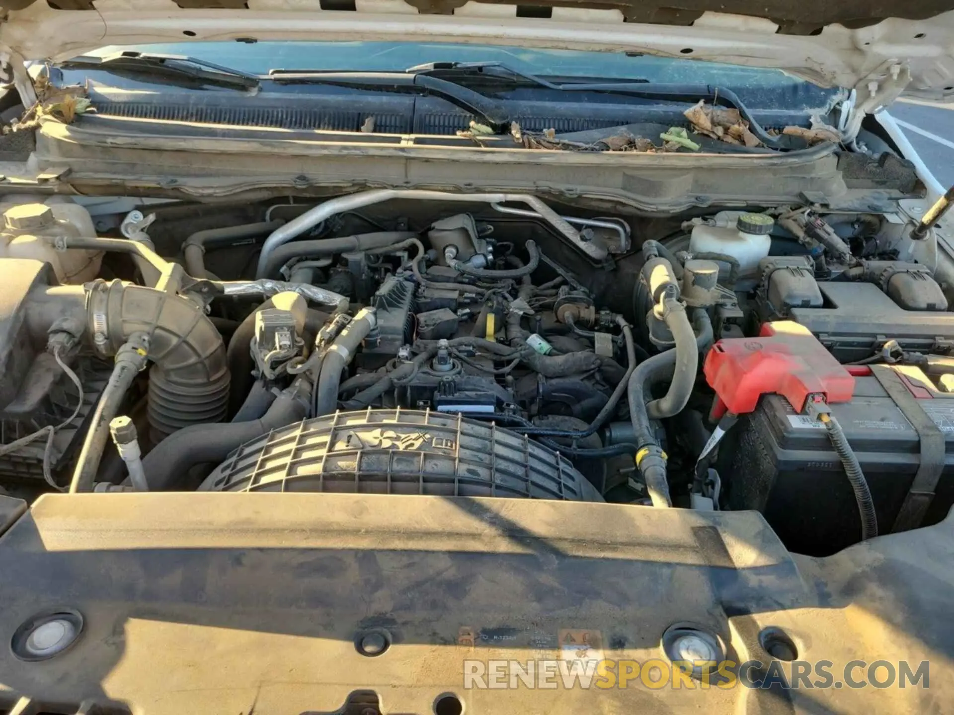 24 Photograph of a damaged car 1FTER1EH6KLA06449 FORD RANGER 2019