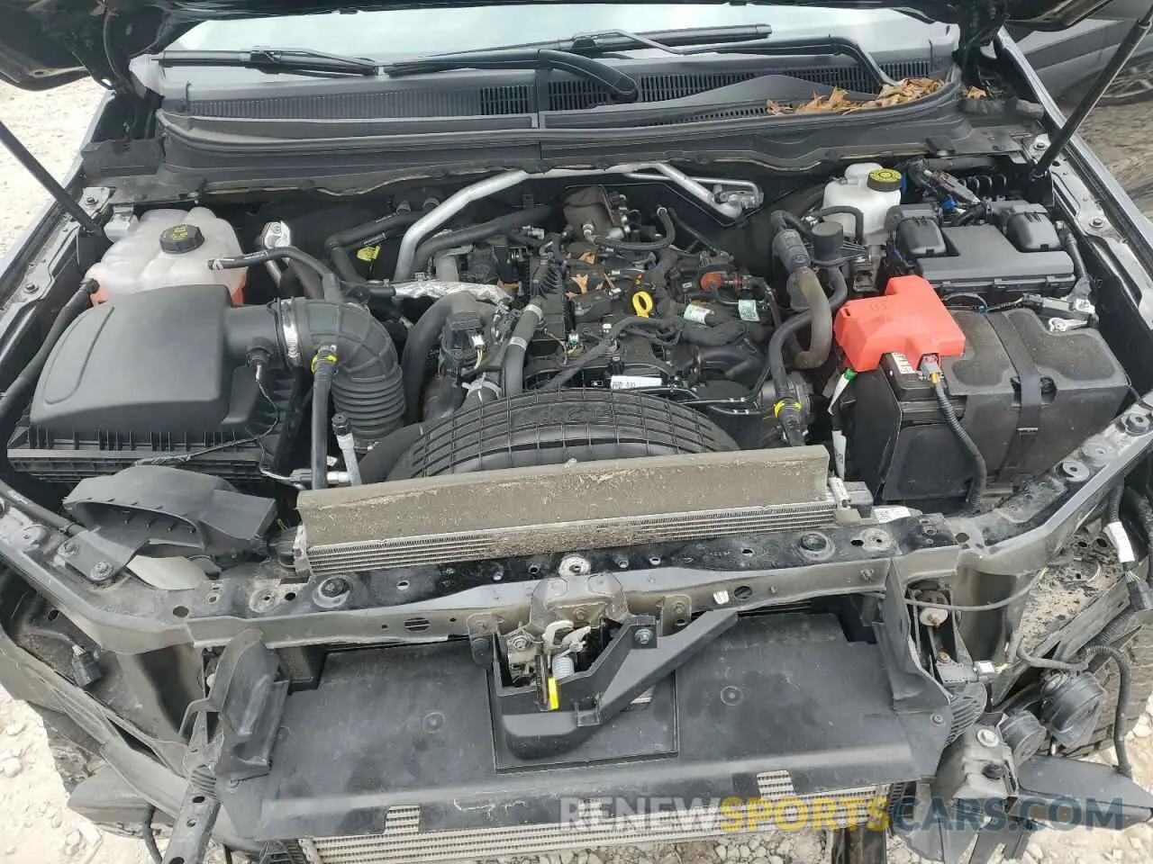 11 Photograph of a damaged car 1FTER1FH3KLA54117 FORD RANGER 2019