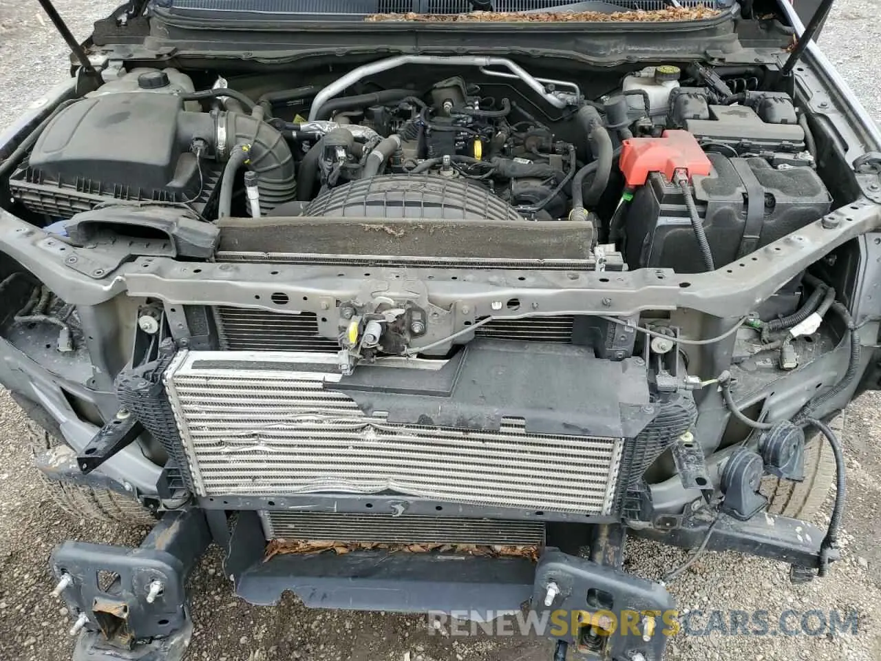 11 Photograph of a damaged car 1FTER4EH5KLA69964 FORD RANGER 2019