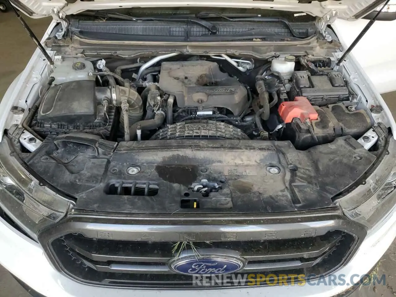 12 Photograph of a damaged car 1FTER4FH0KLB02030 FORD RANGER 2019