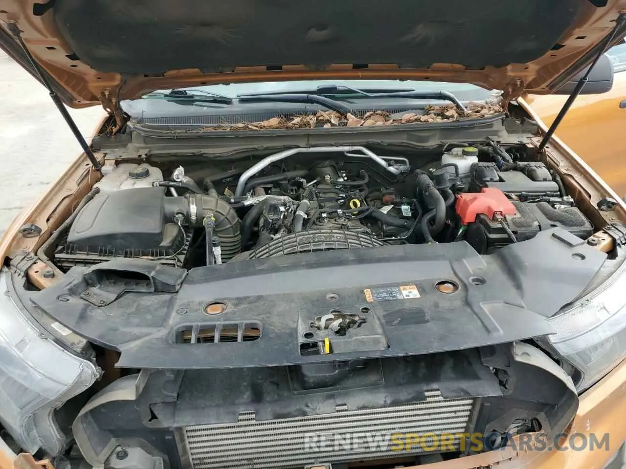 11 Фотография поврежденного автомобиля 1FTER4FH5KLA64925 FORD RANGER 2019