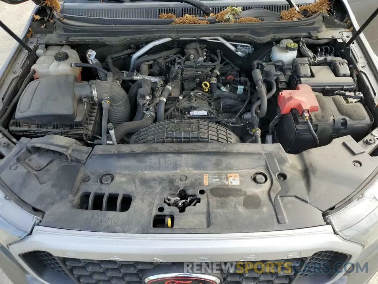 11 Photograph of a damaged car 1FTER4FH6KLA18729 FORD RANGER 2019