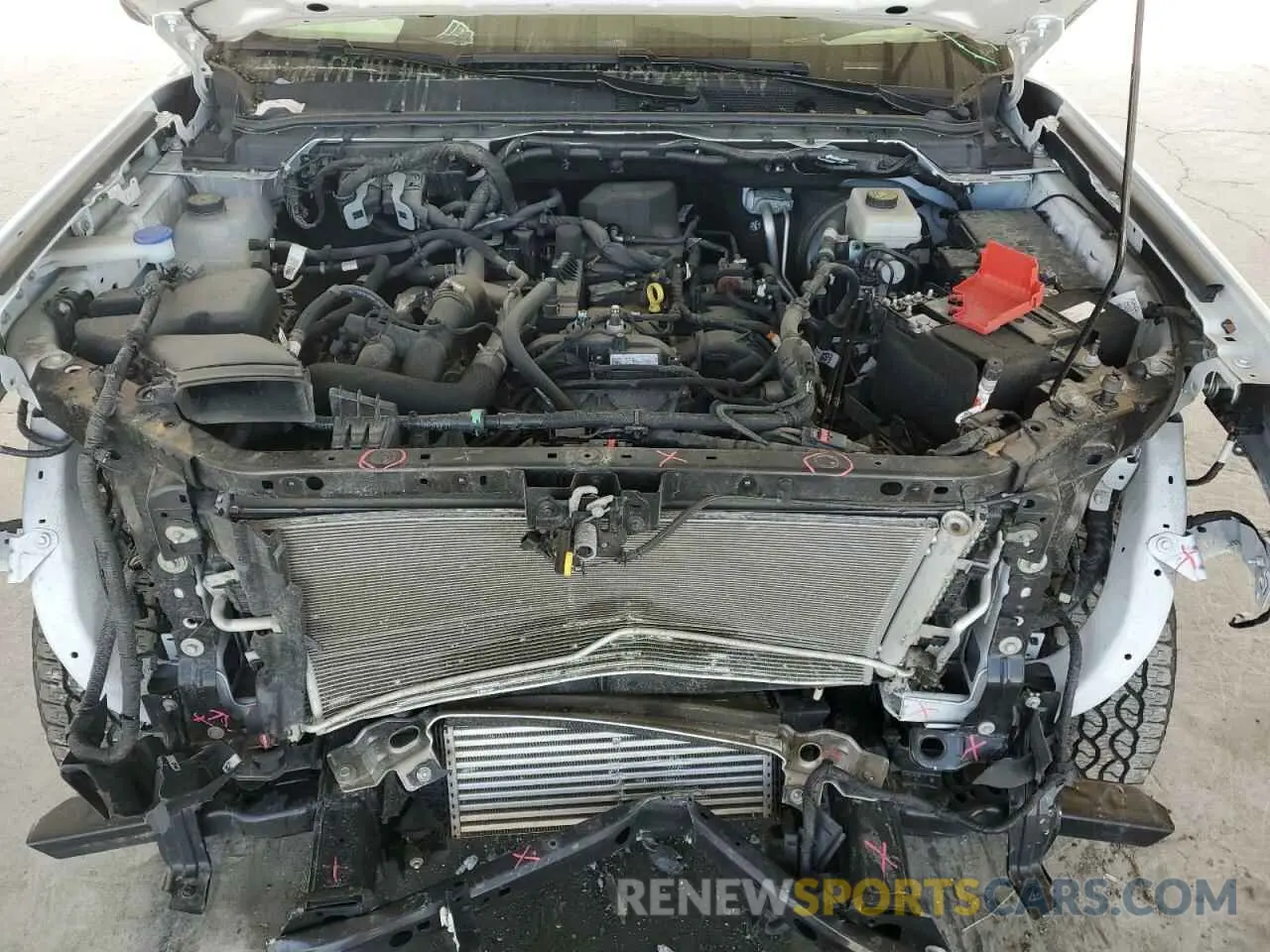 13 Фотография поврежденного автомобиля 1FTER4BH9RLE60680 FORD RANGER 2024